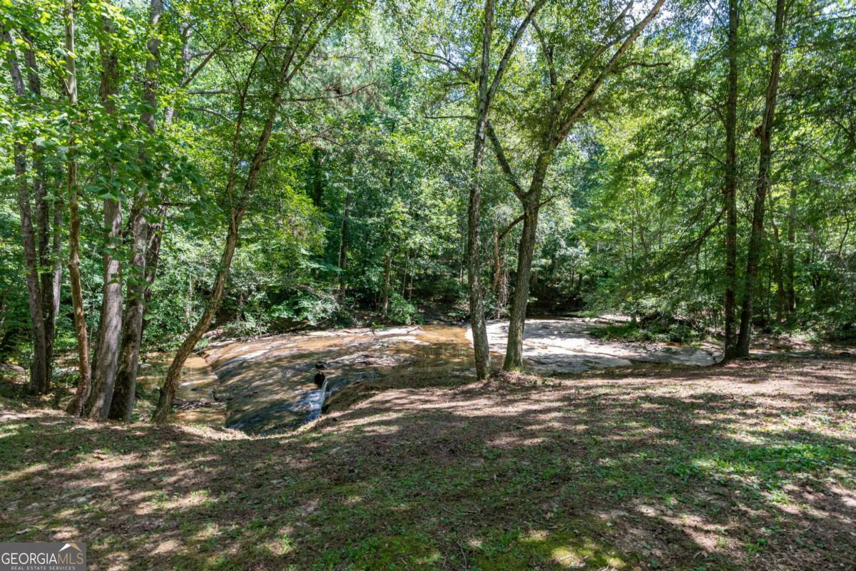 2425 Spratlin Mill Road Property Photo 69