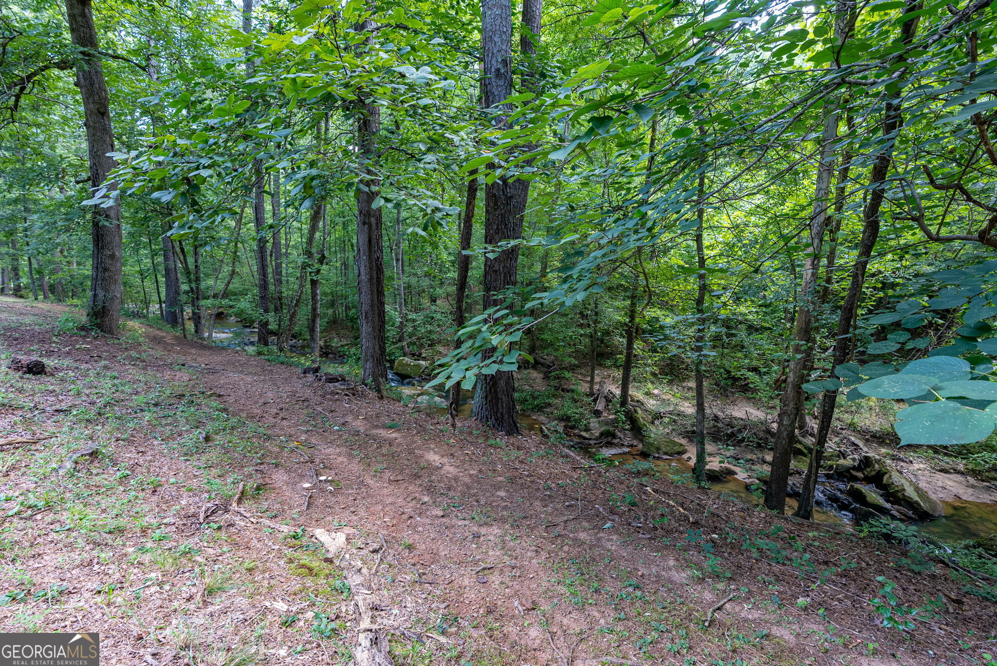 2425 Spratlin Mill Road Property Photo 73