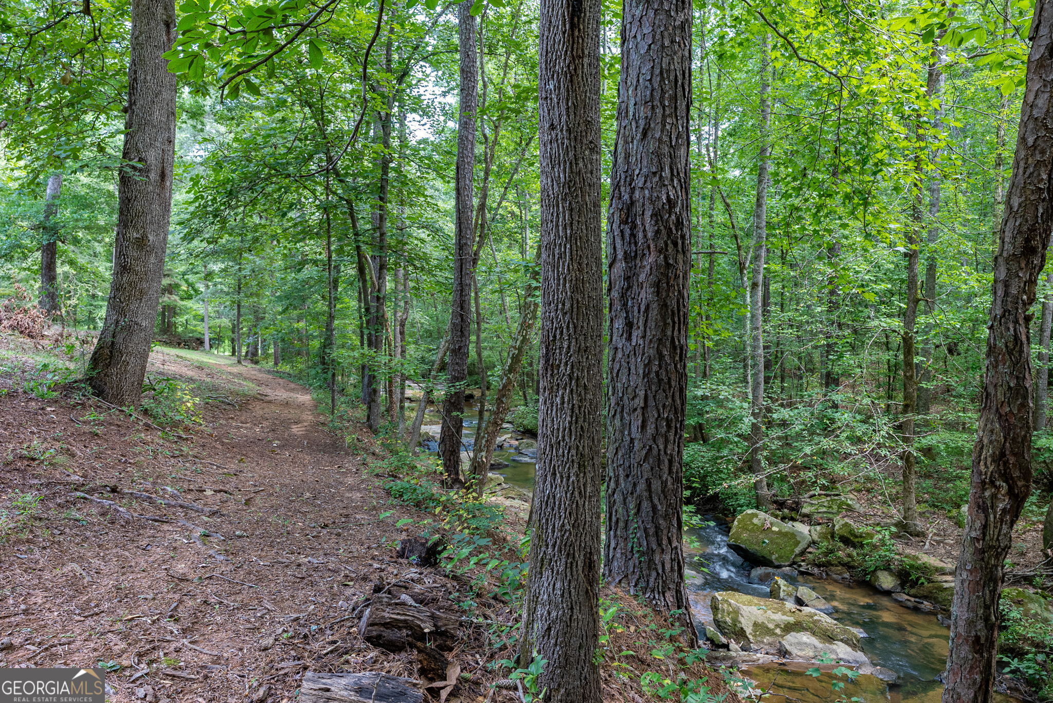 2425 Spratlin Mill Road Property Photo 74