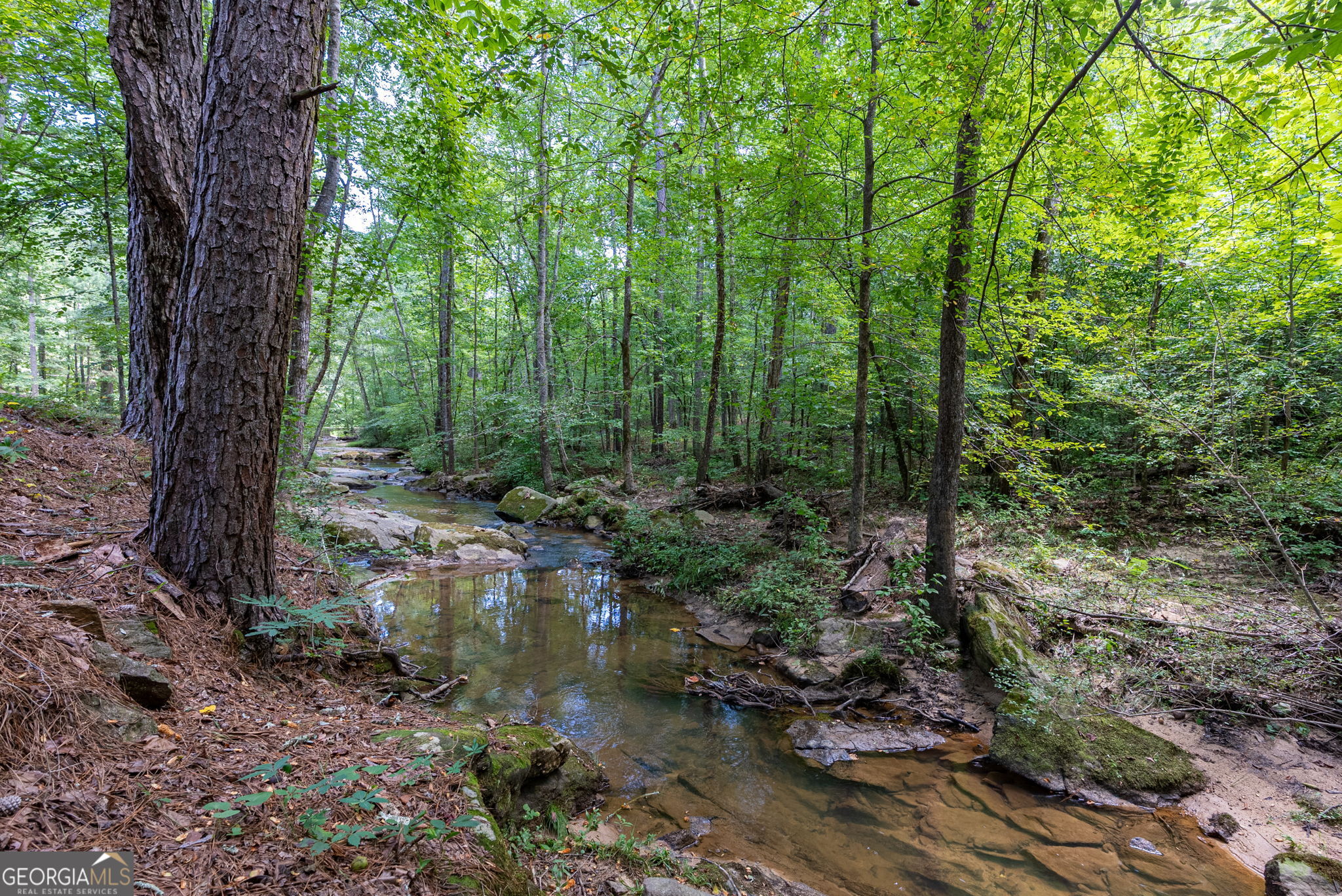 2425 Spratlin Mill Road Property Photo 75