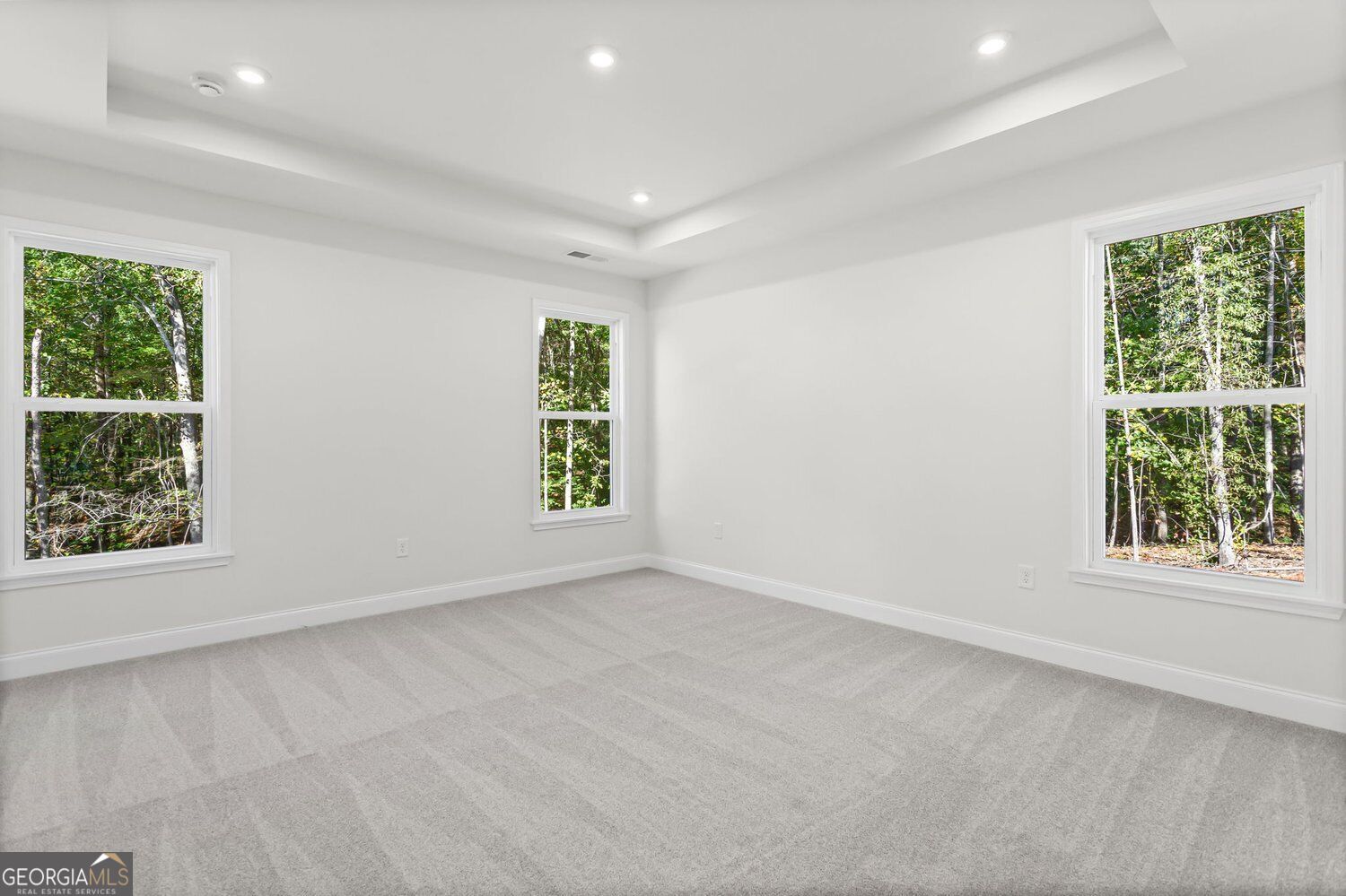 132 Wood Grove Lane Property Photo 27
