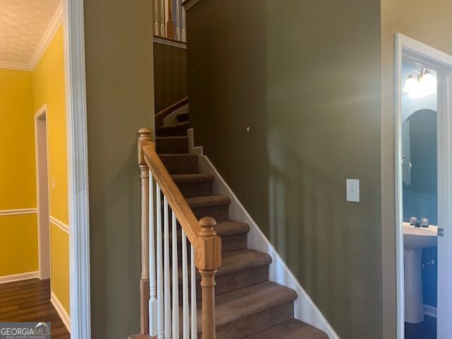 107 Meadows Drive Property Photo 9