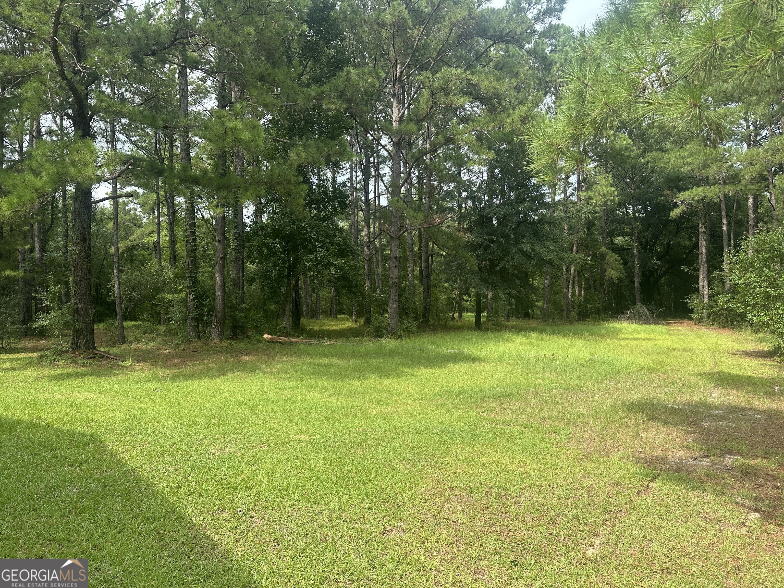 3693 Joyner Oglesby Road Property Photo 9
