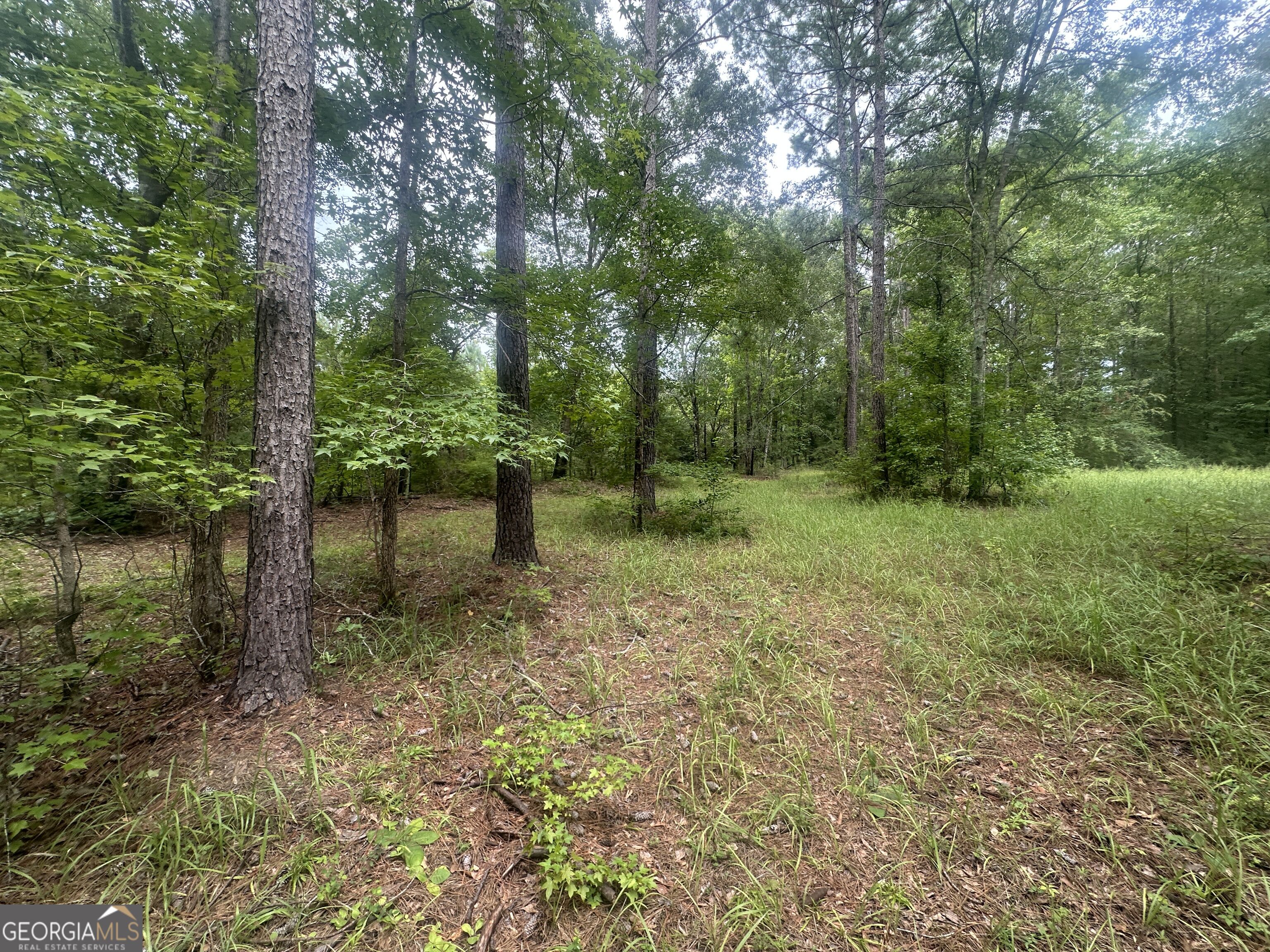 3693 Joyner Oglesby Road Property Photo 10