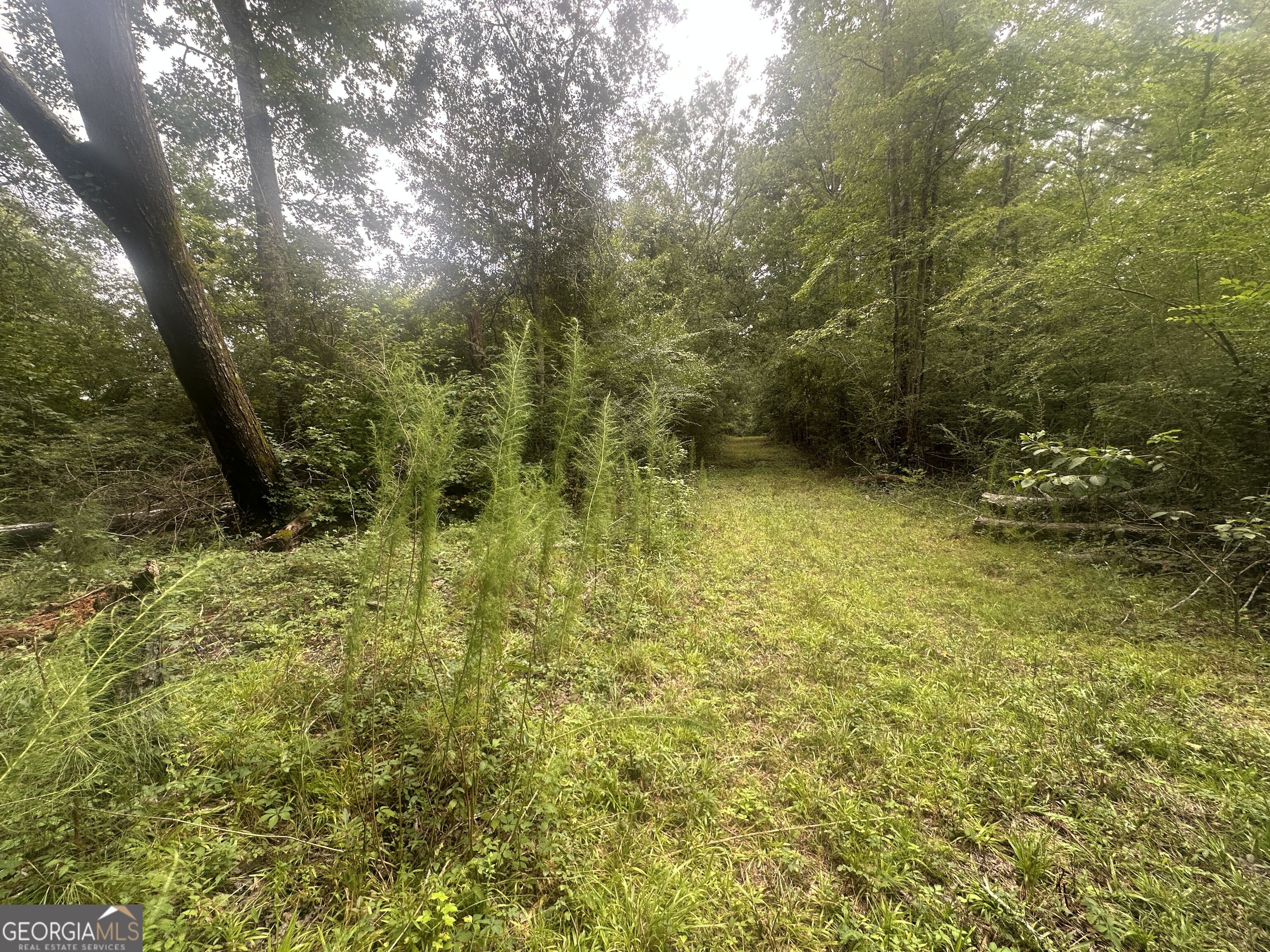 3693 Joyner Oglesby Road Property Photo 11