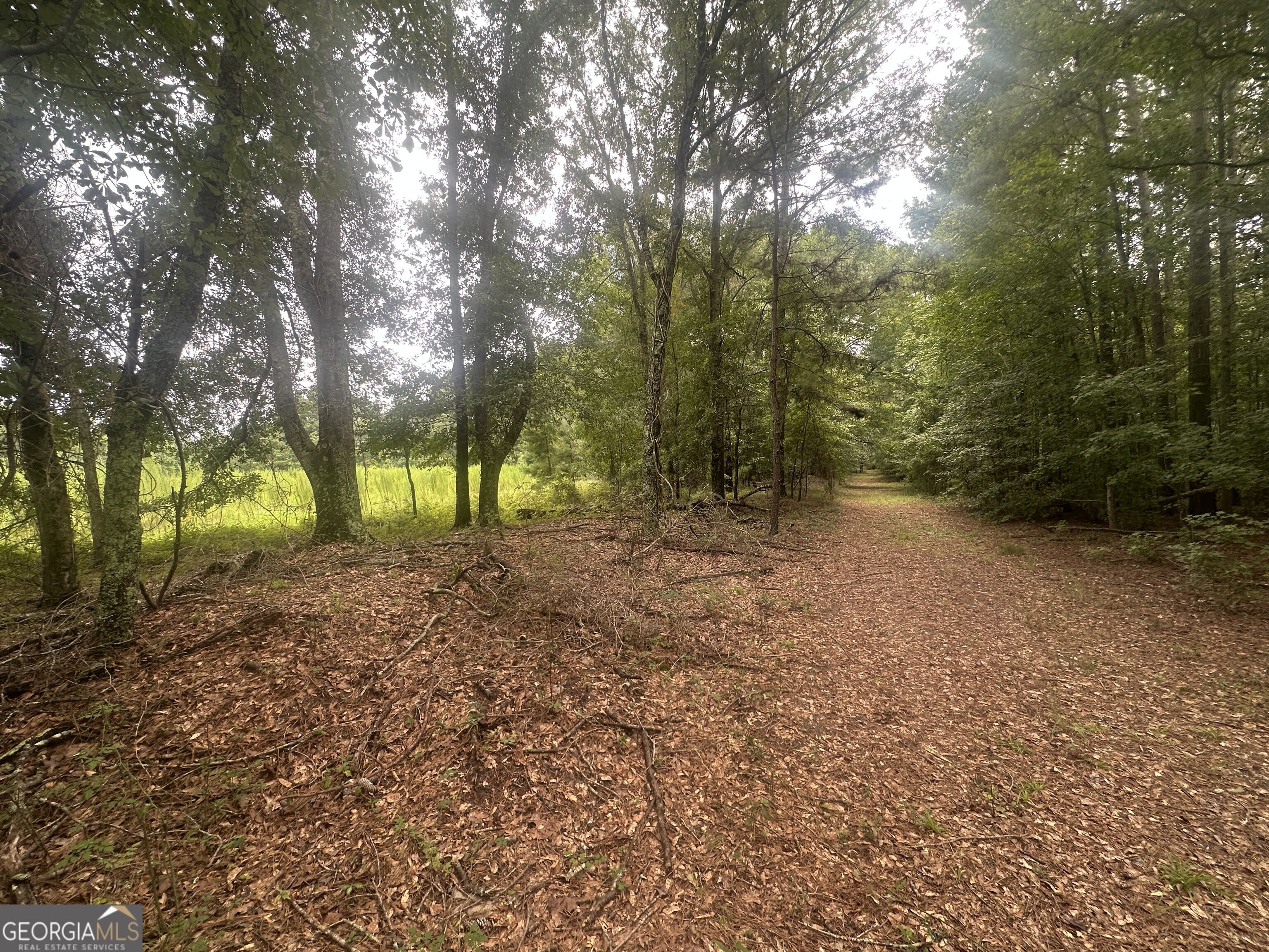 3693 Joyner Oglesby Road Property Photo 12