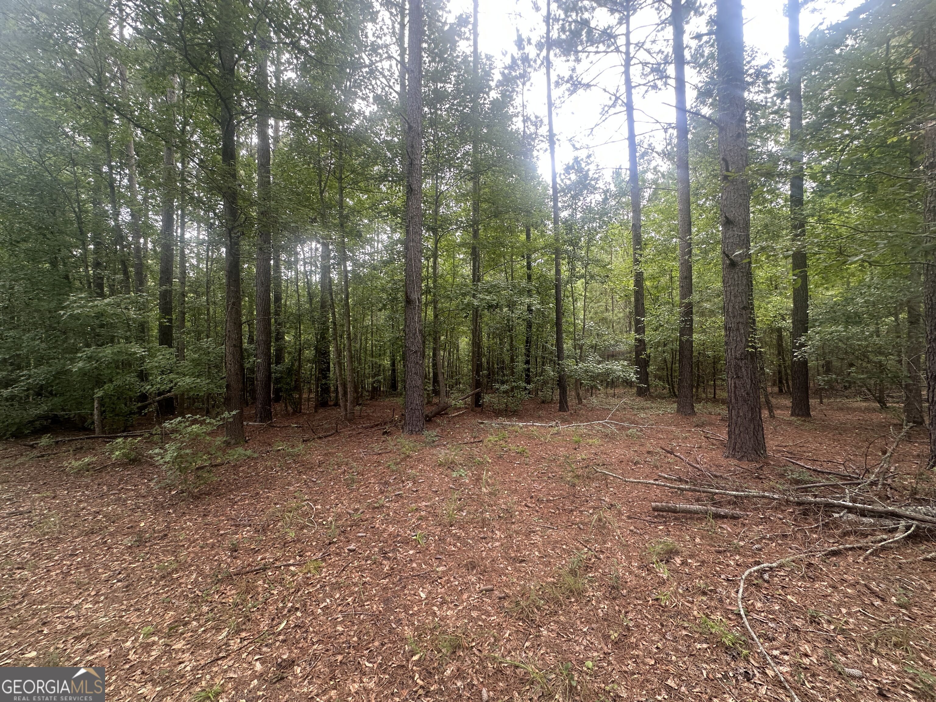 3693 Joyner Oglesby Road Property Photo 13
