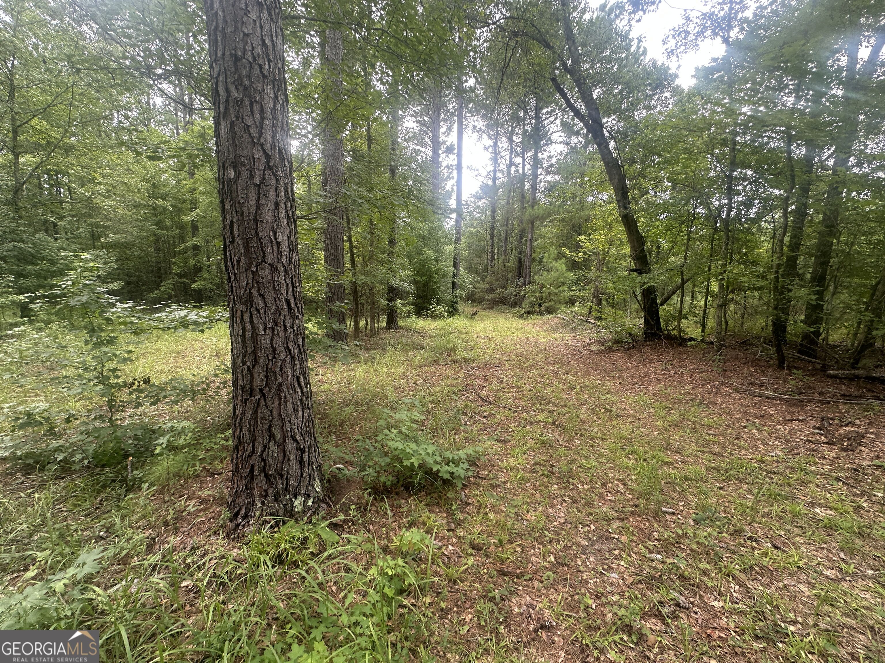 3693 Joyner Oglesby Road Property Photo 15