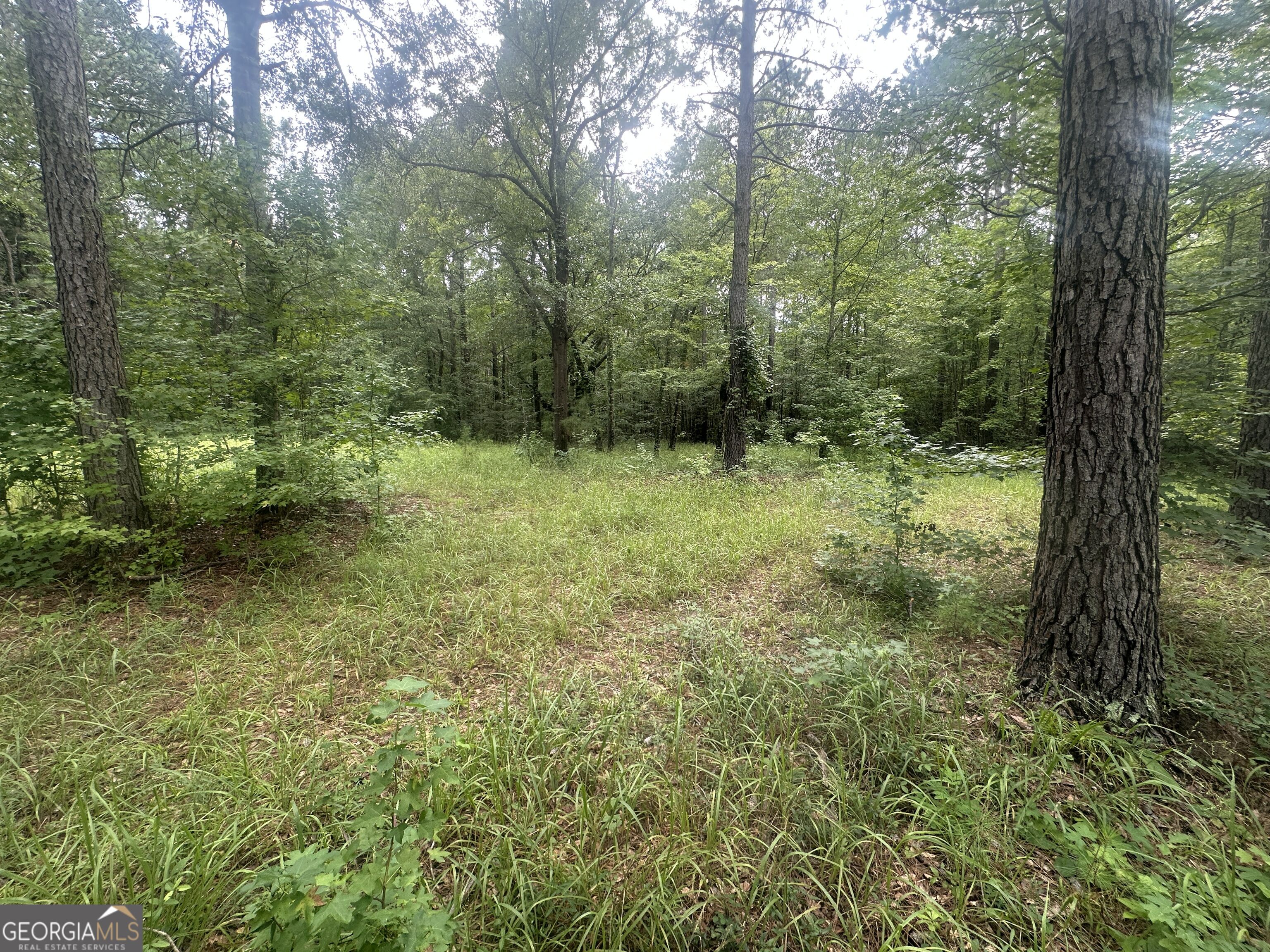 3693 Joyner Oglesby Road Property Photo 16