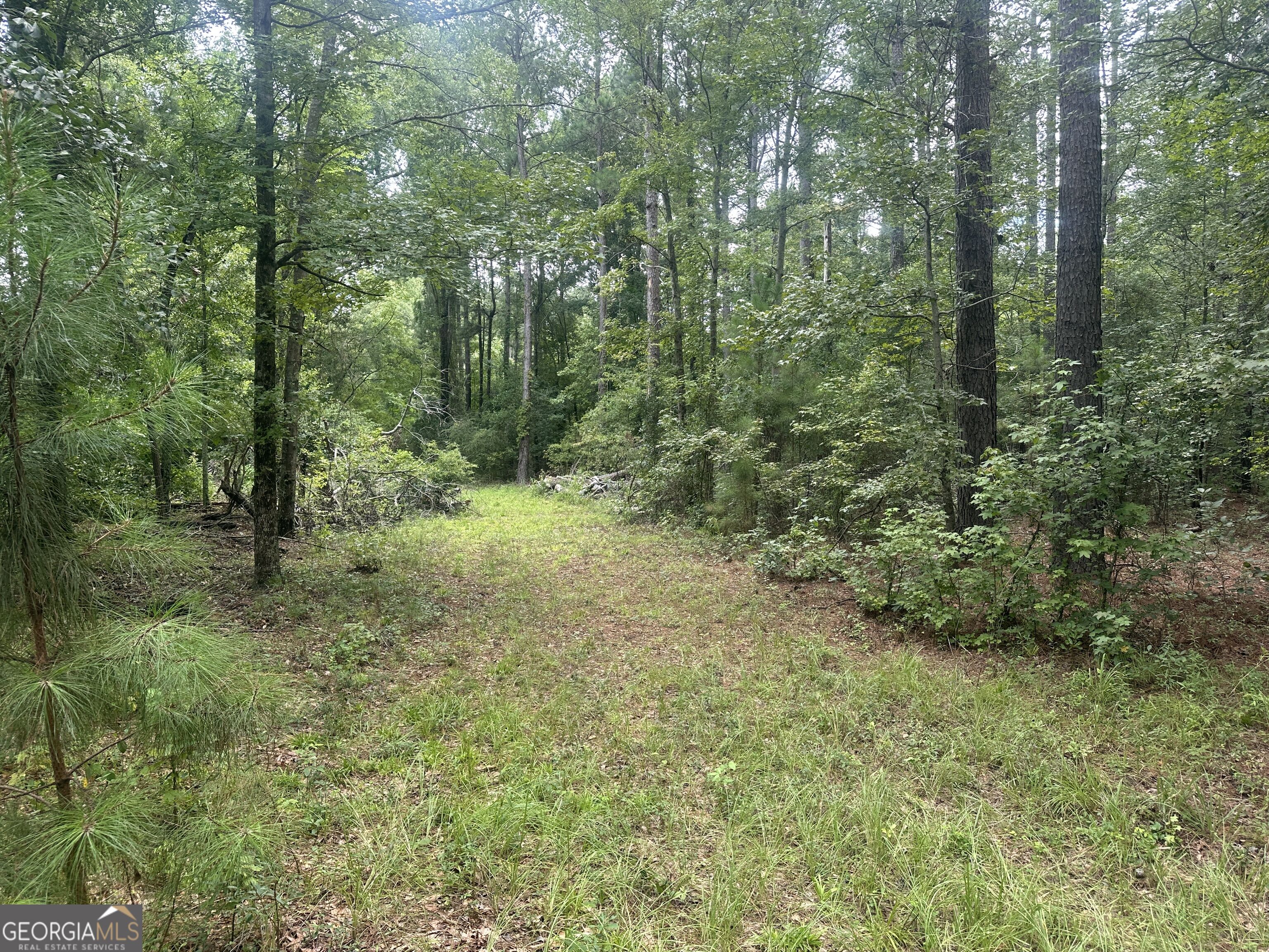 3693 Joyner Oglesby Road Property Photo 17