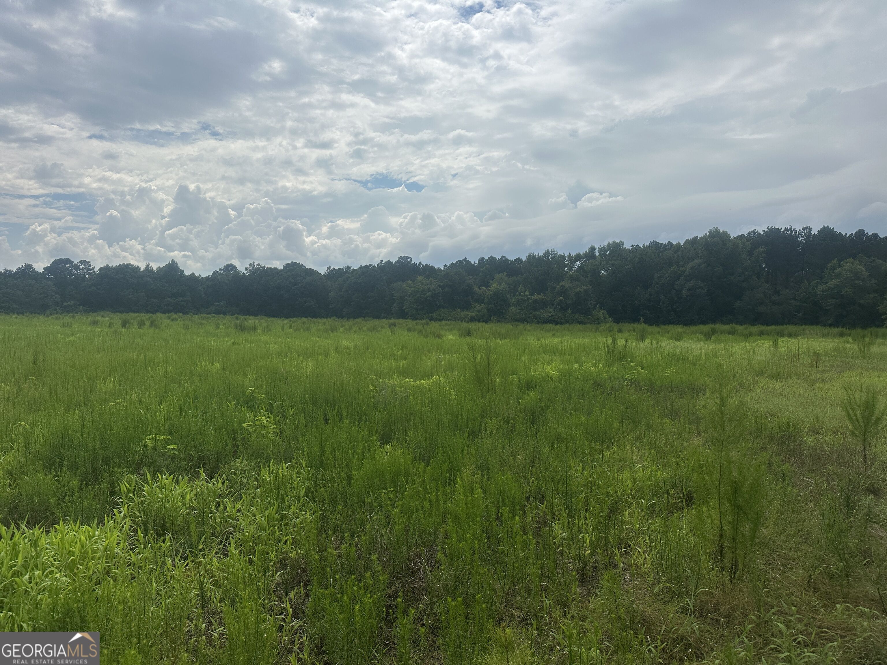 3693 Joyner Oglesby Road Property Photo 18