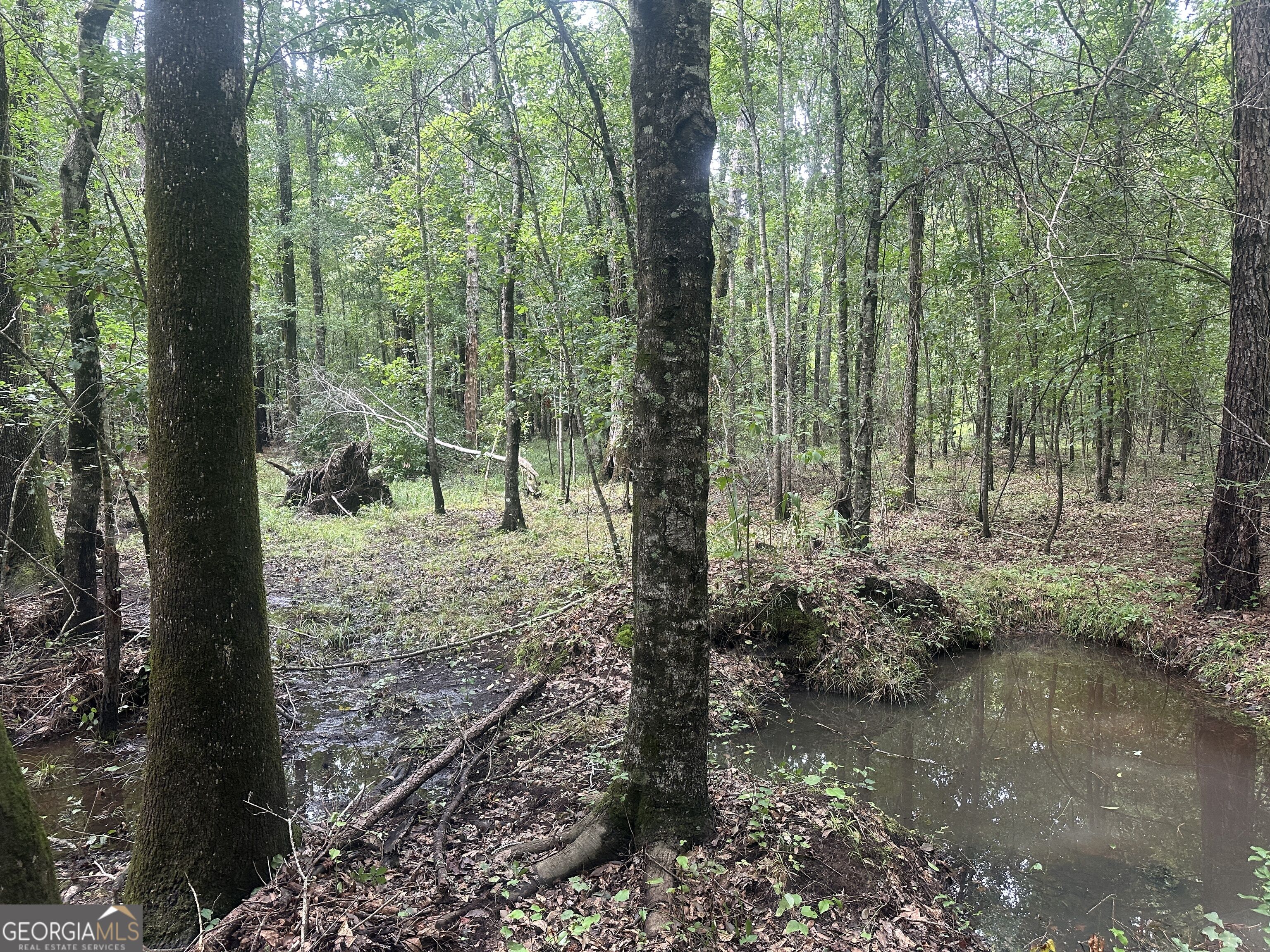 3693 Joyner Oglesby Road Property Photo 20