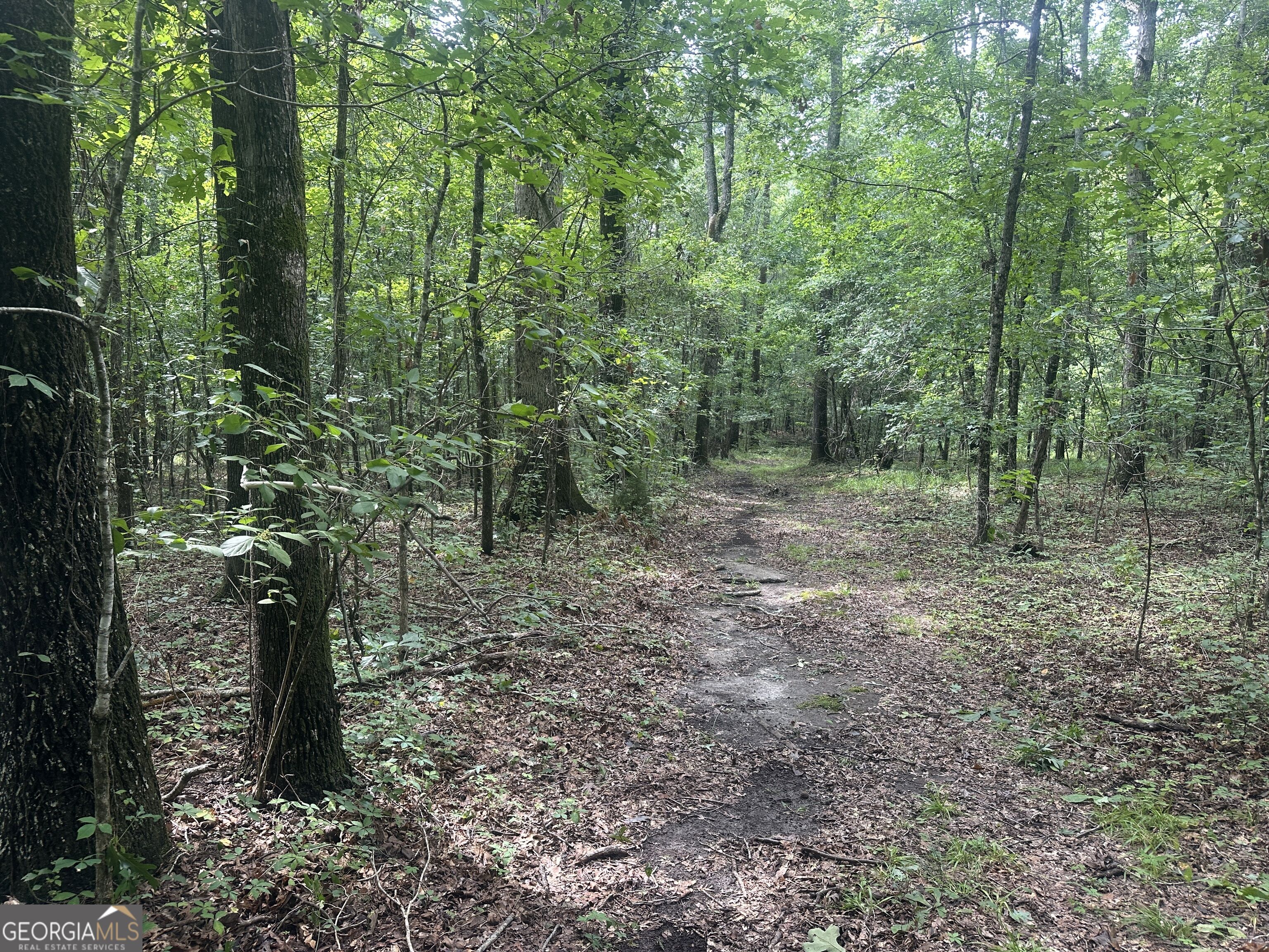 3693 Joyner Oglesby Road Property Photo 21