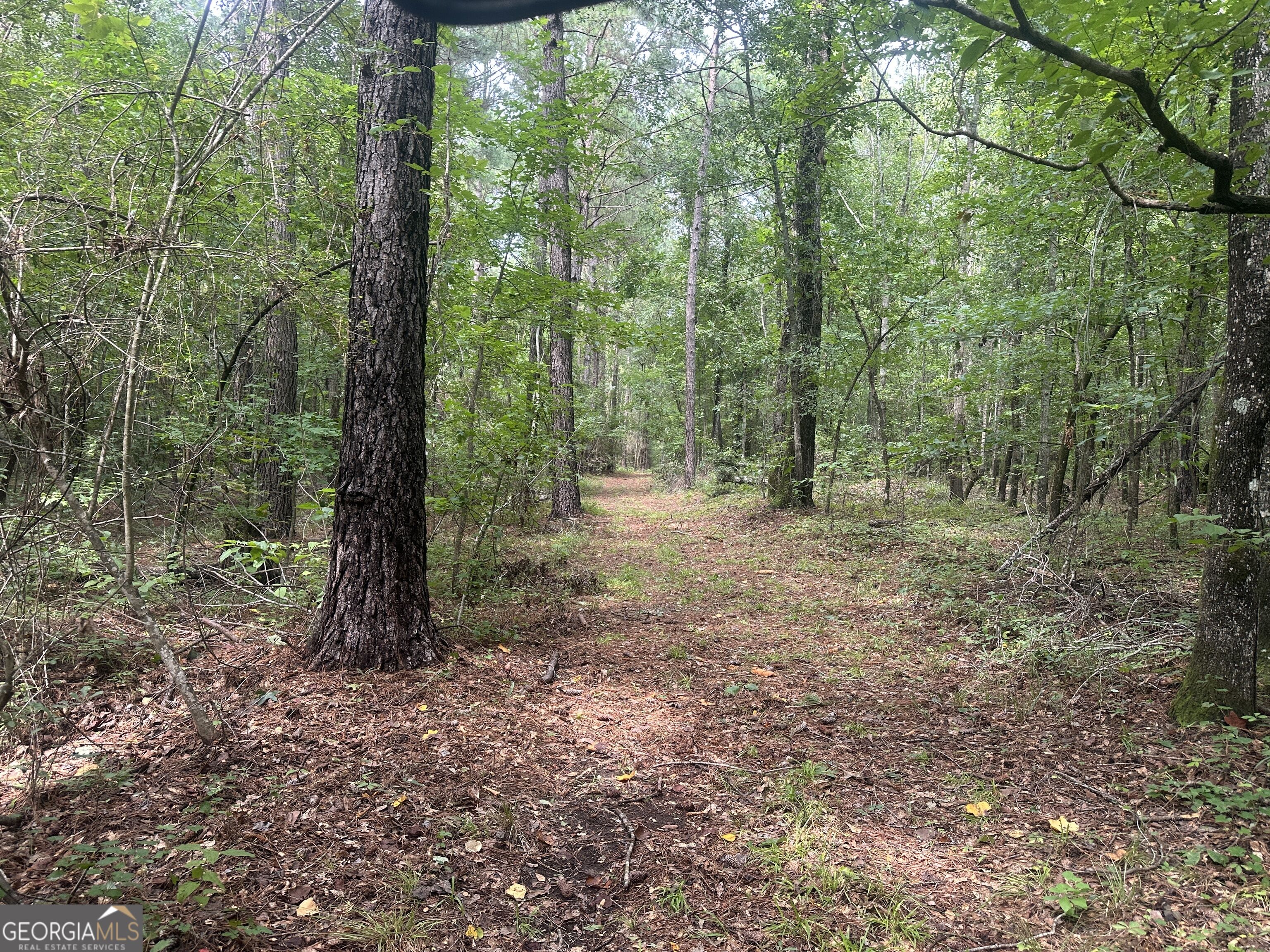3693 Joyner Oglesby Road Property Photo 22