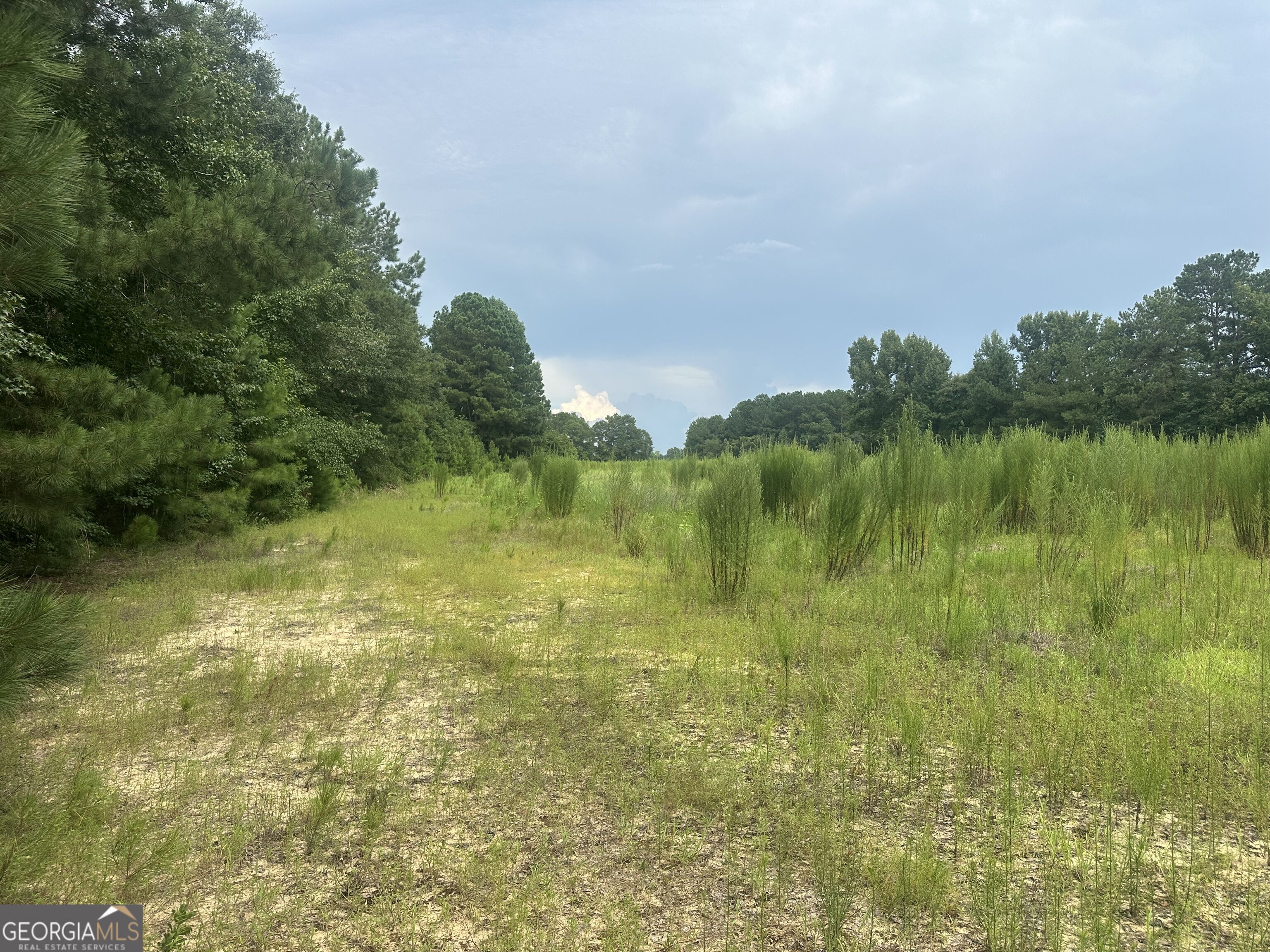 3693 Joyner Oglesby Road Property Photo 23