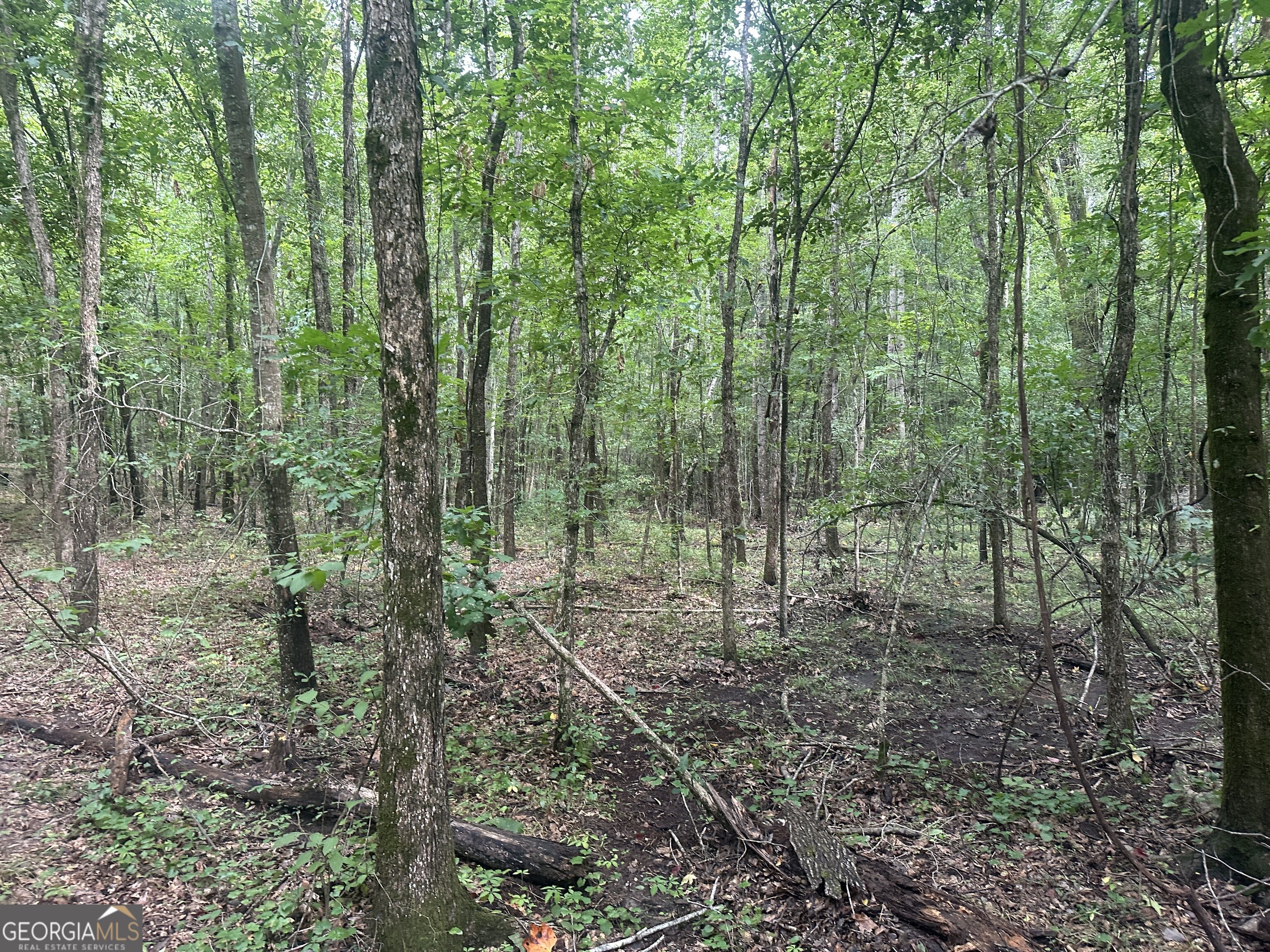 3693 Joyner Oglesby Road Property Photo 25