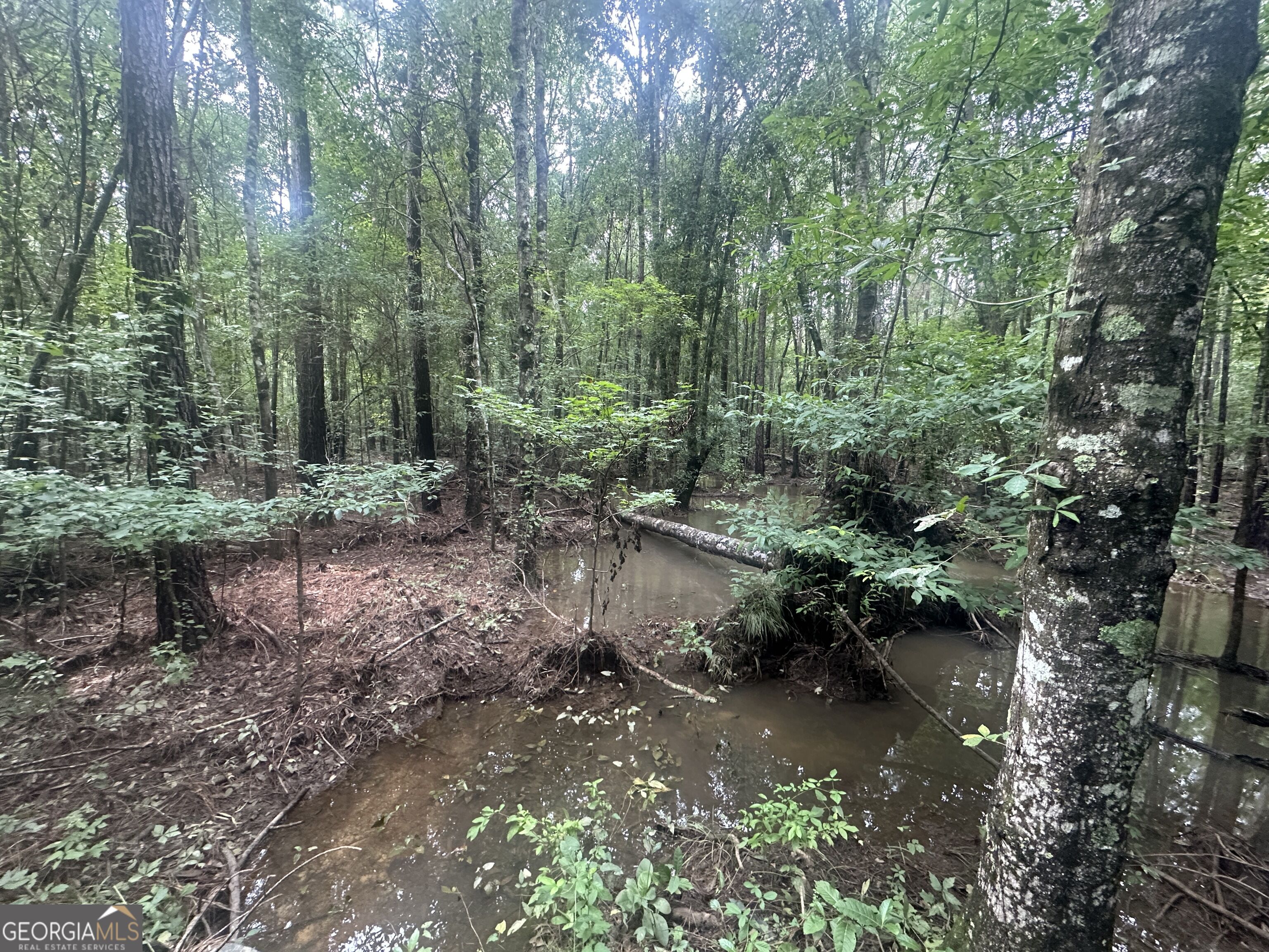 3693 Joyner Oglesby Road Property Photo 30
