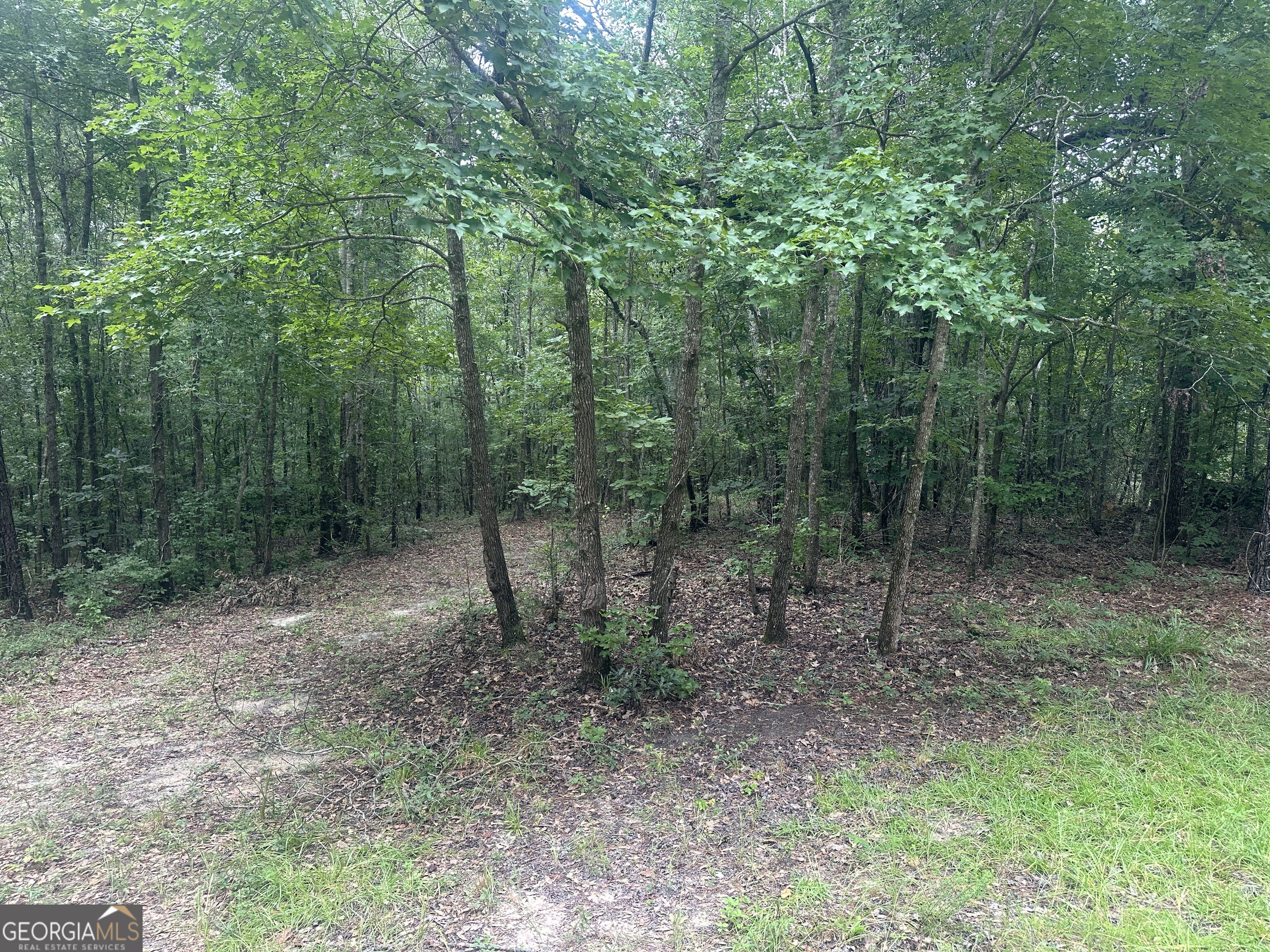 3693 Joyner Oglesby Road Property Photo 31