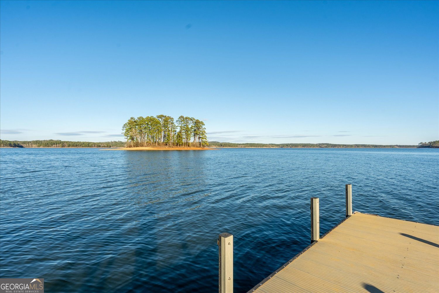 1336 Magnolia Court Property Photo 14