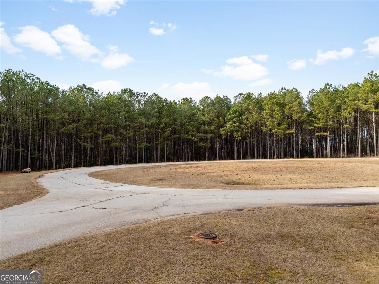 1331 Magnolia Court Property Photo 5