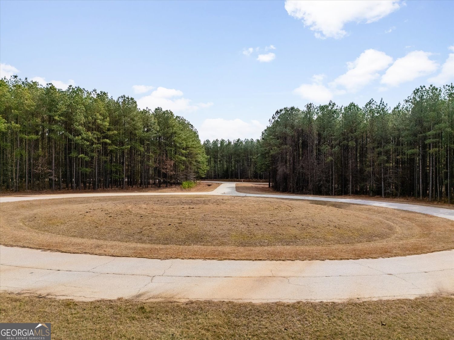 1325 Magnolia Court Property Photo 6
