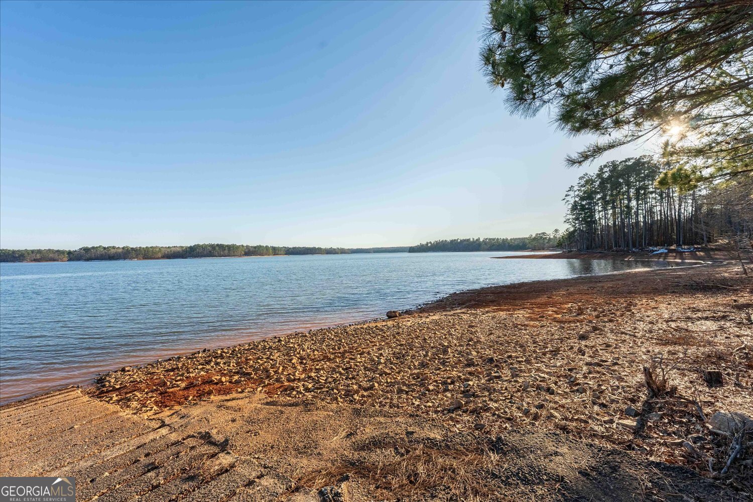 1325 Magnolia Court Property Photo 10