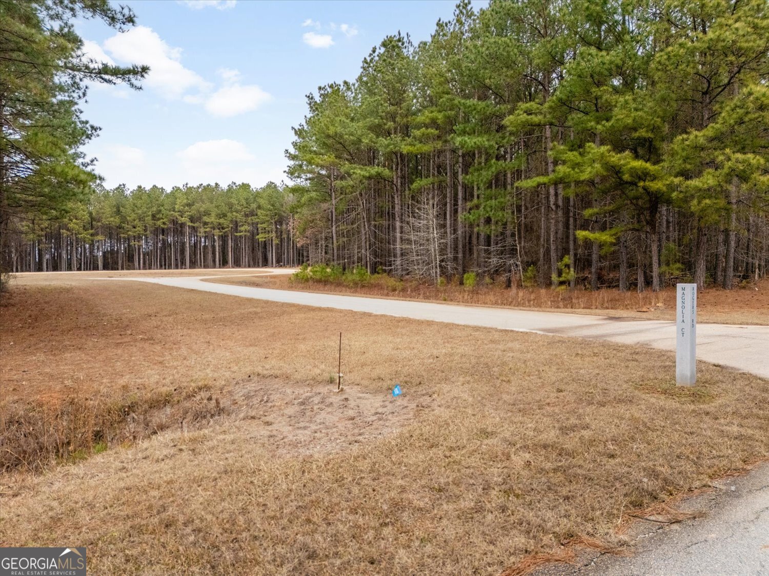 1343 Magnolia Court Property Photo 3