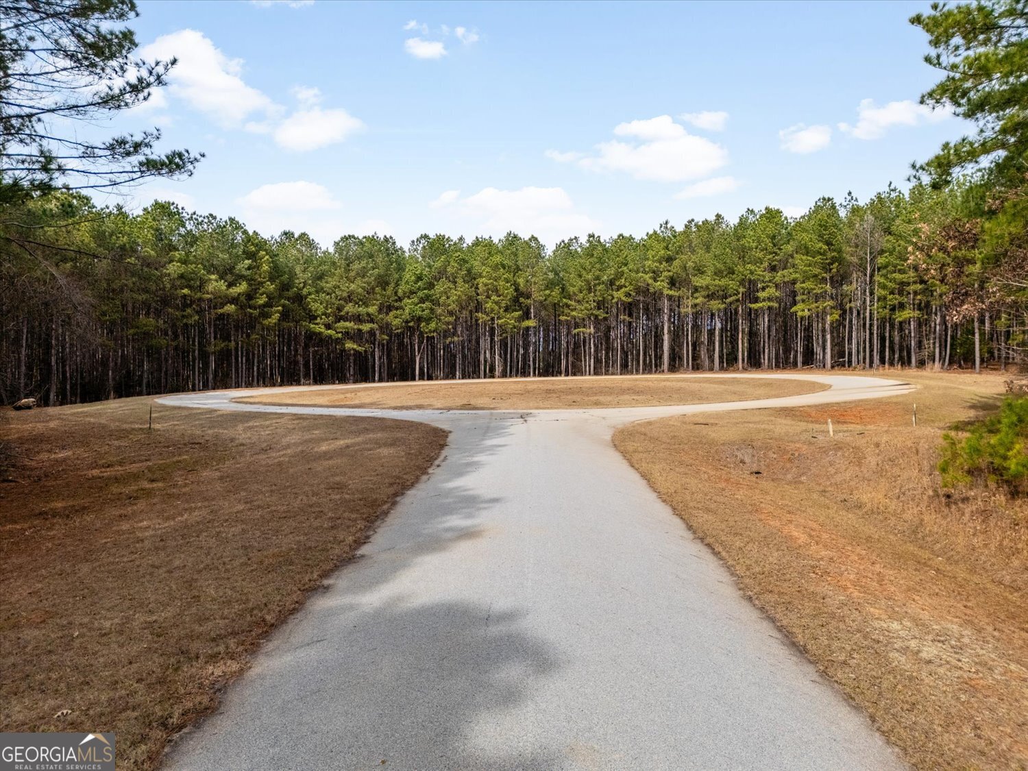 1343 Magnolia Court Property Photo 4
