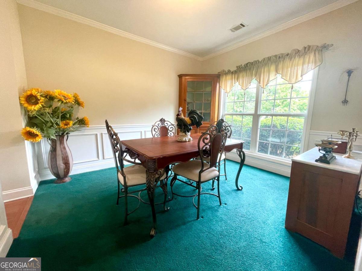 930 Vinings Drive Property Photo 19