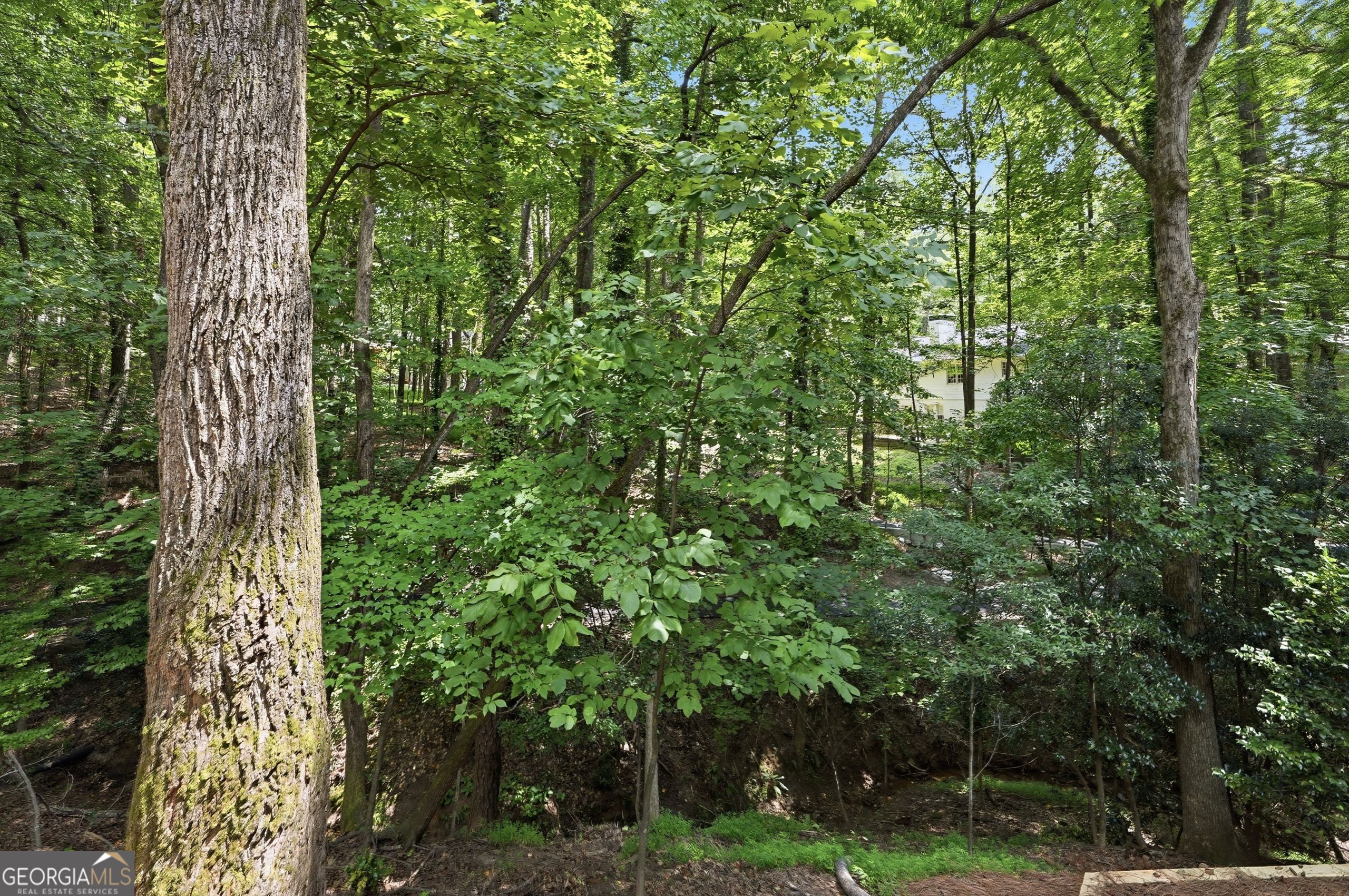 110 Bitternut Circle Property Photo 49