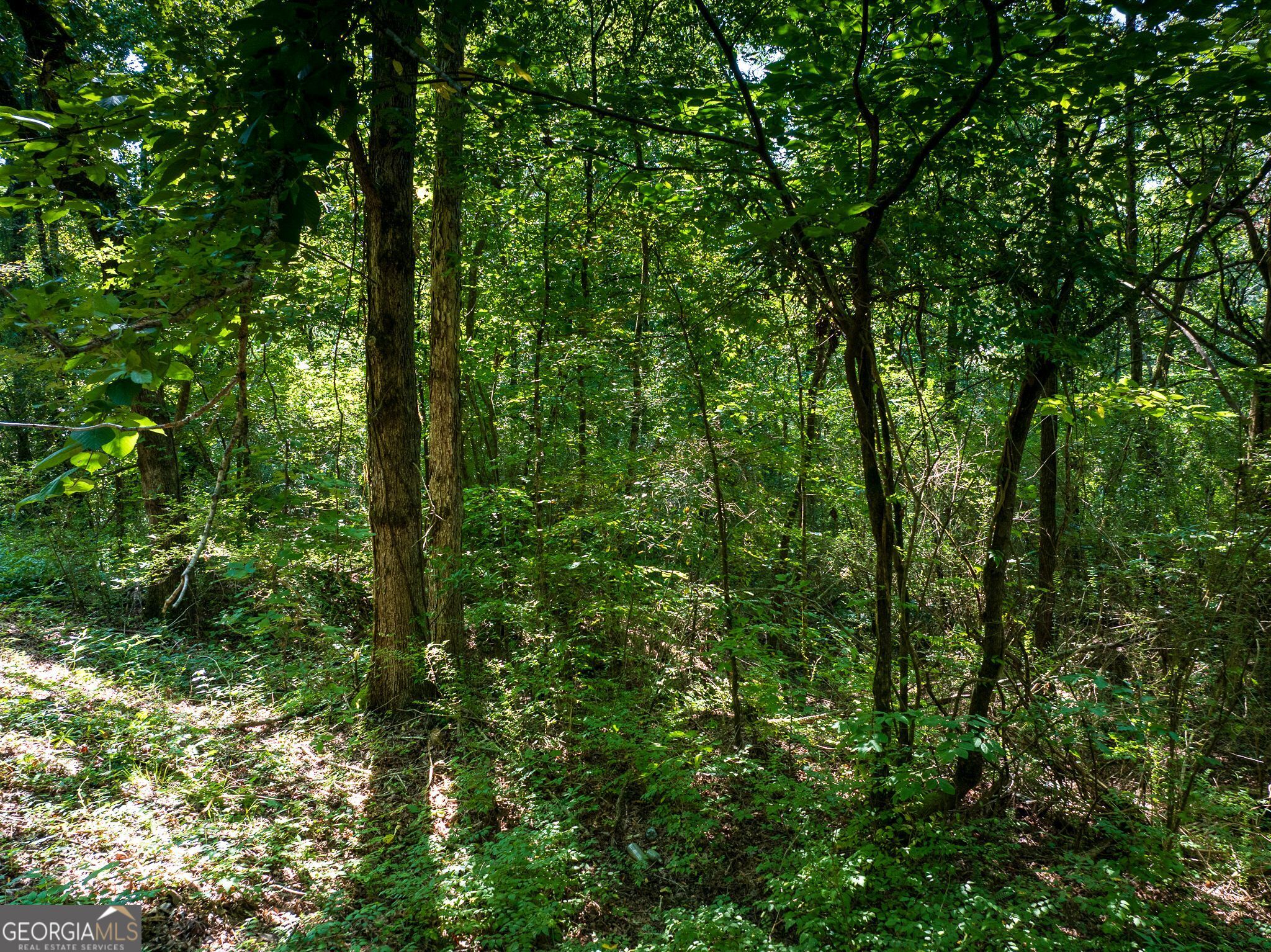 1973 Warrior Trafford Road Property Photo 48