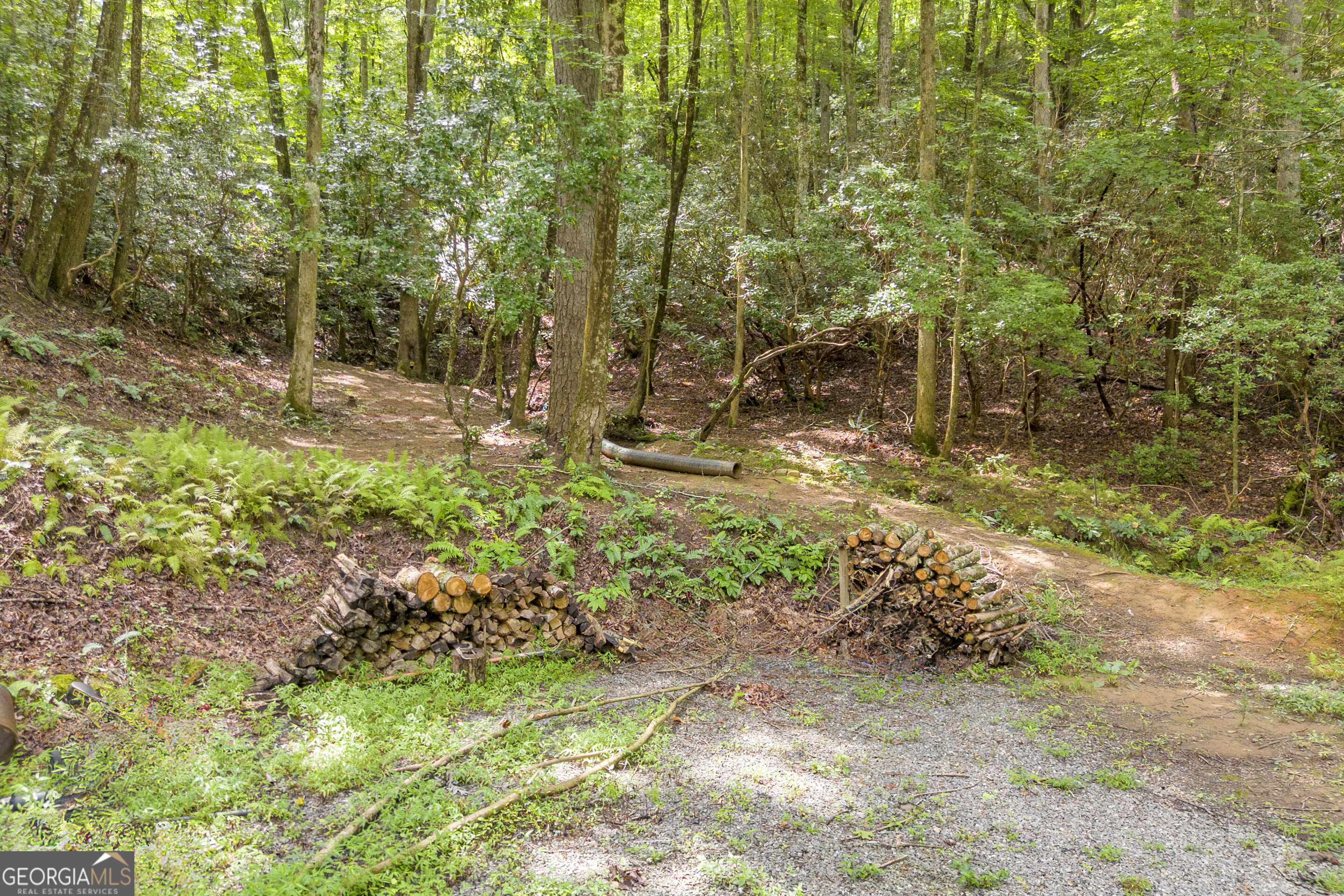 1178 Ruby Lake Drive Property Photo 4