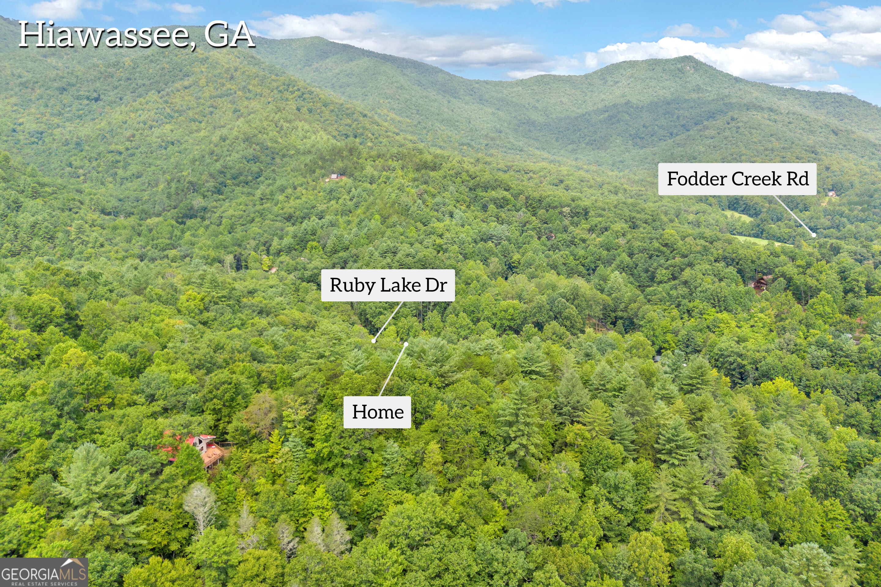 1178 Ruby Lake Drive Property Photo 34