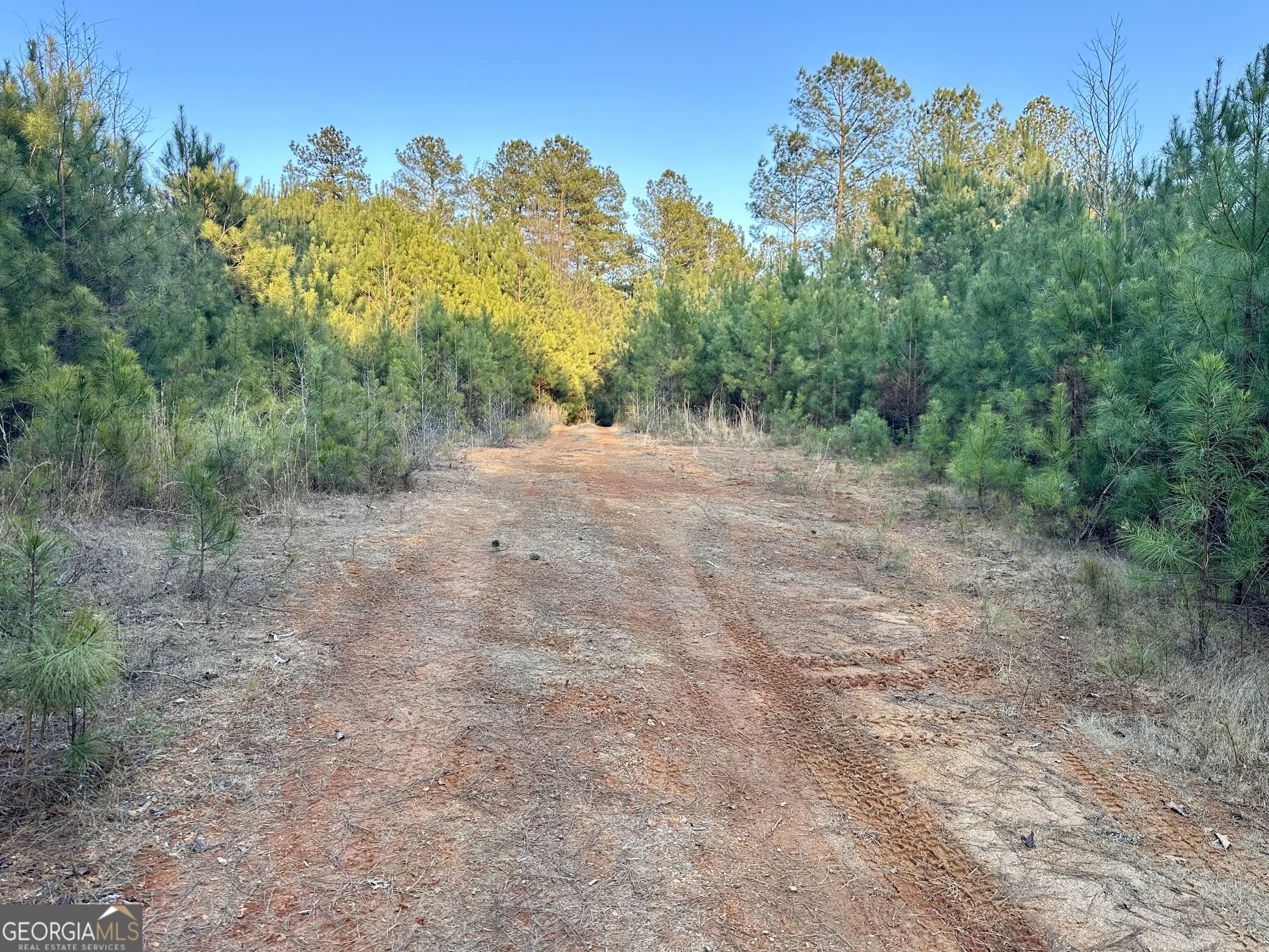 0 - Tract 4 Mt Zion Church Road Property Photo 6
