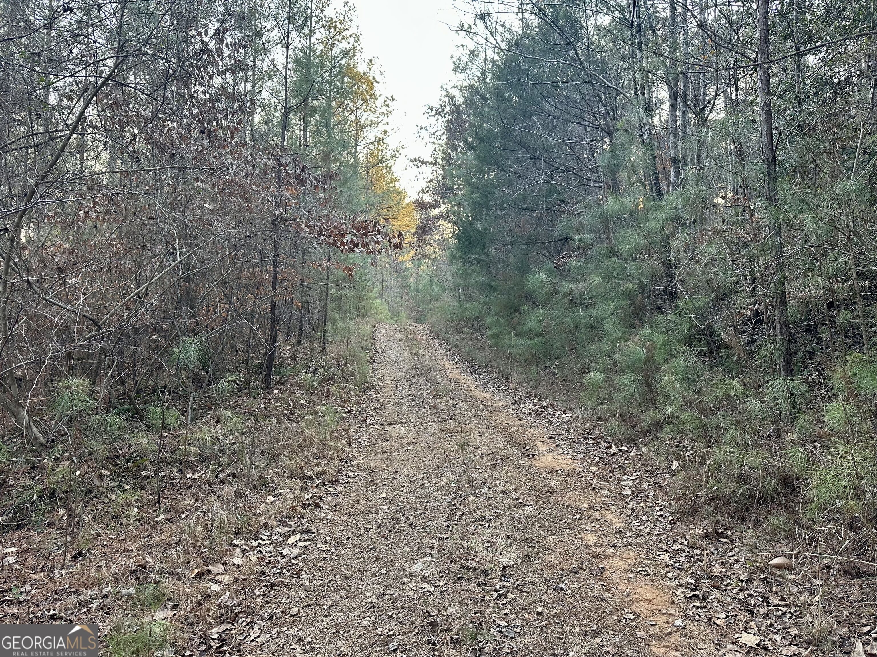 0 - Tract 3 Mt Zion Church Road Property Photo 8