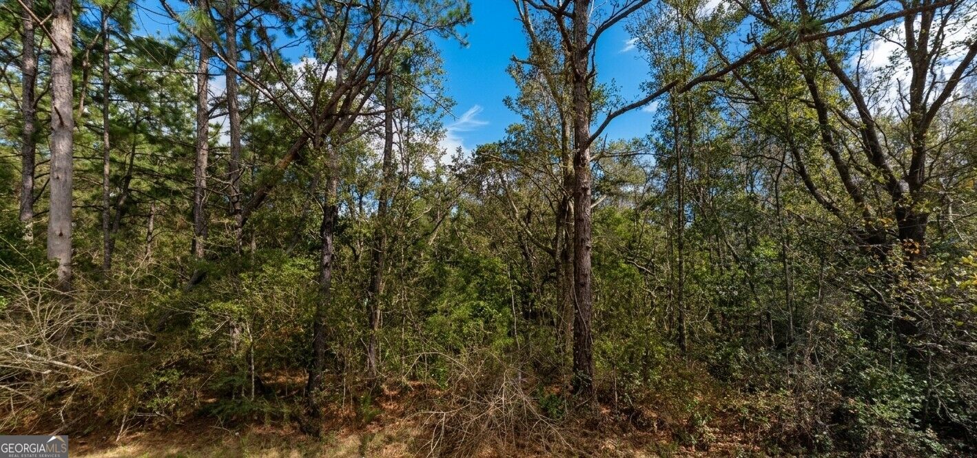 0 Pollard Road Lot A Property Photo 3