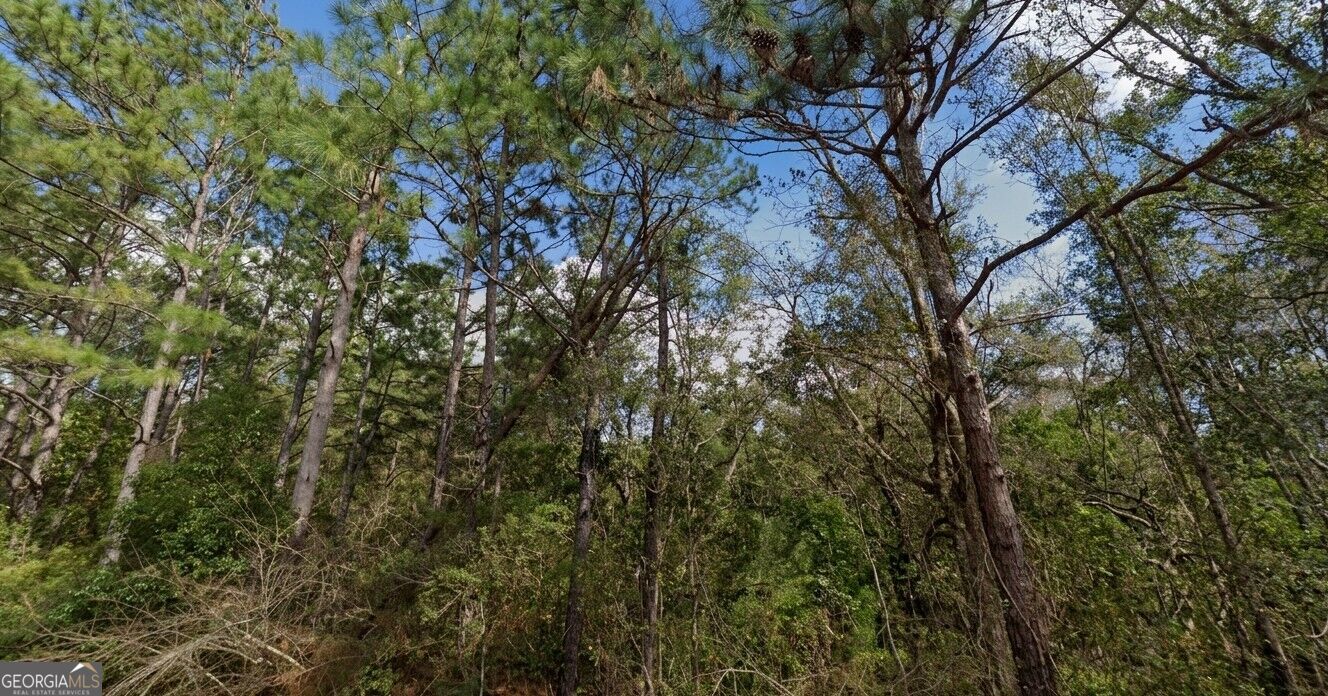 0 Pollard Road Lot A Property Photo 4