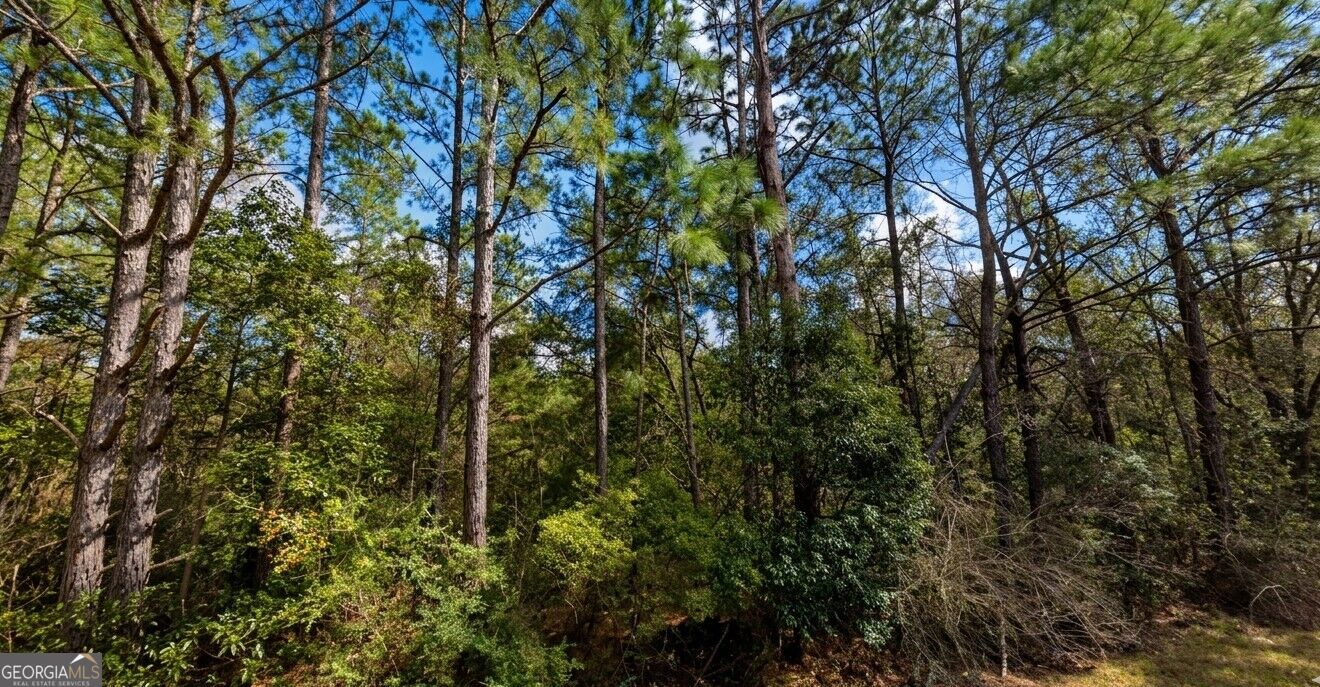 0 Pollard Road Lot A Property Photo 6