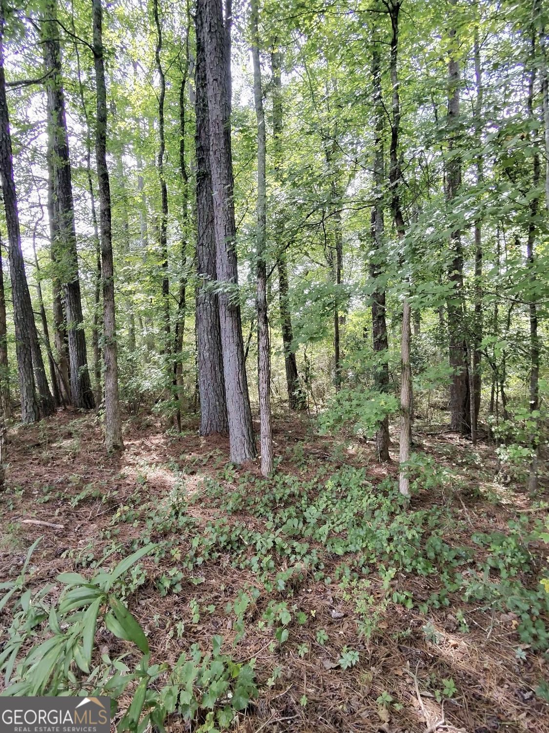 0 Post Road Property Photo 1