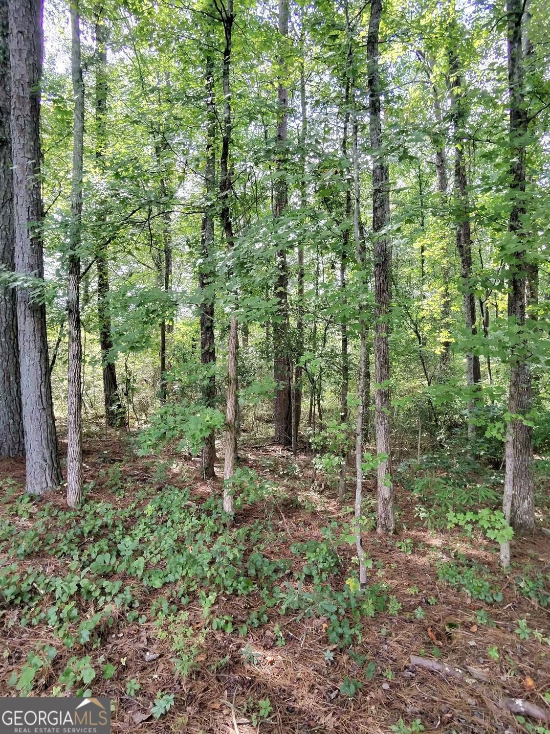 0 Post Road Property Photo 4