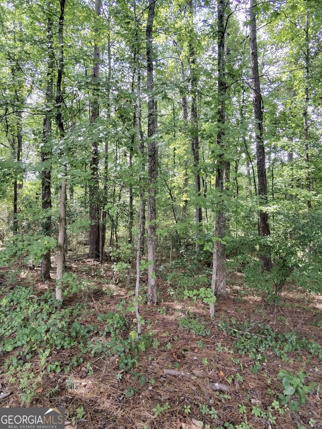 0 Post Road Property Photo 5
