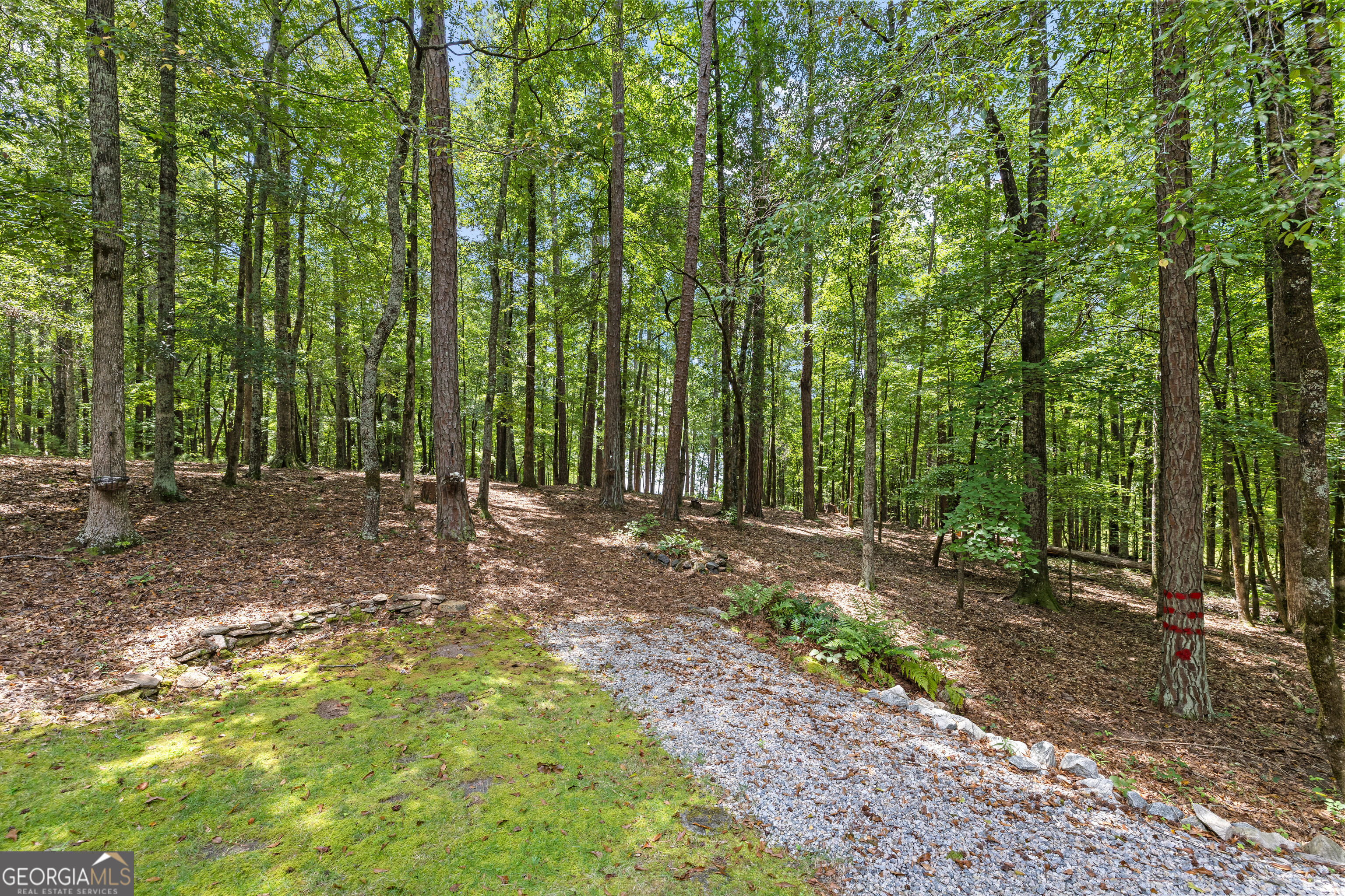 39 Village Pointe Drive Property Photo 4