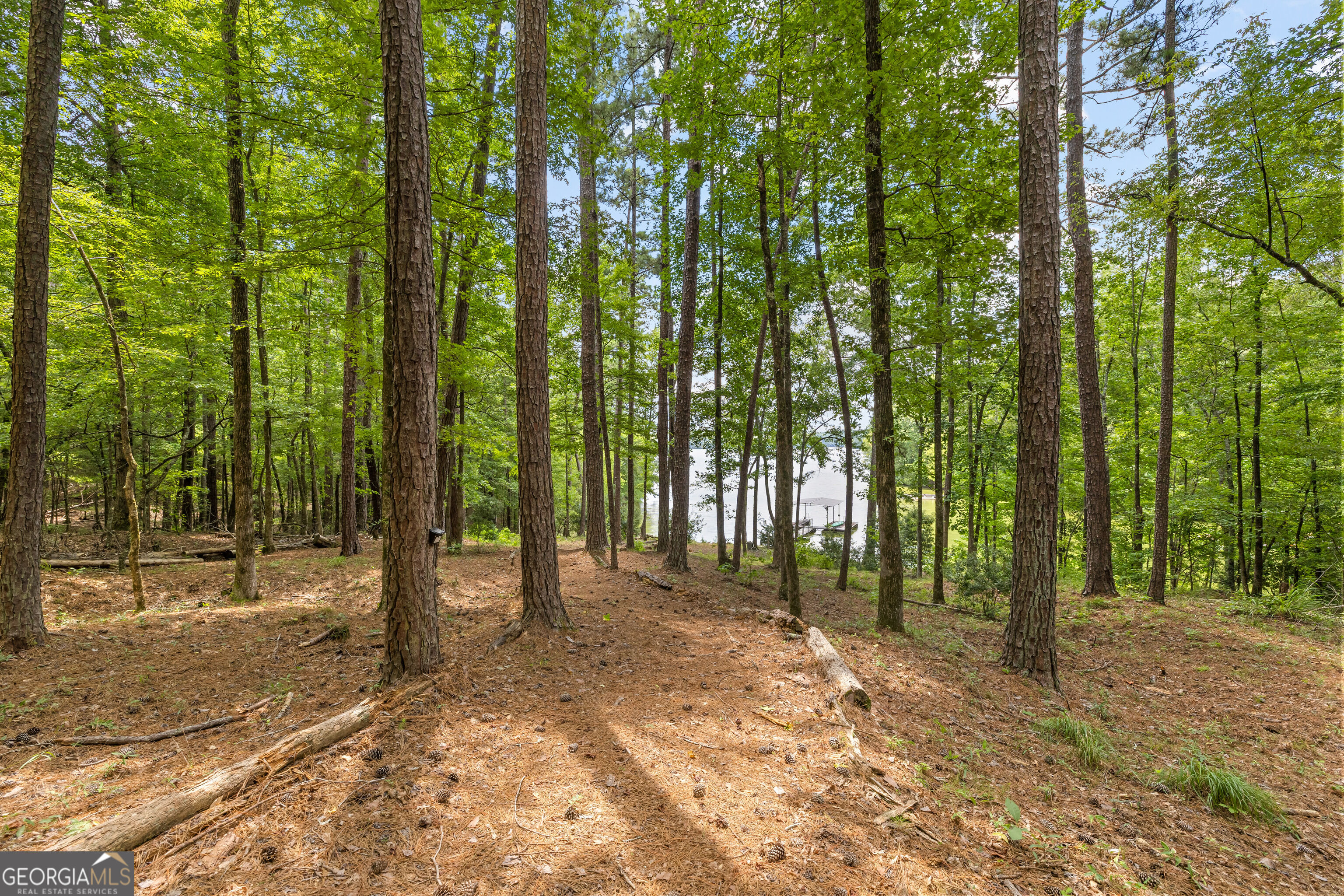 39 Village Pointe Drive Property Photo 6
