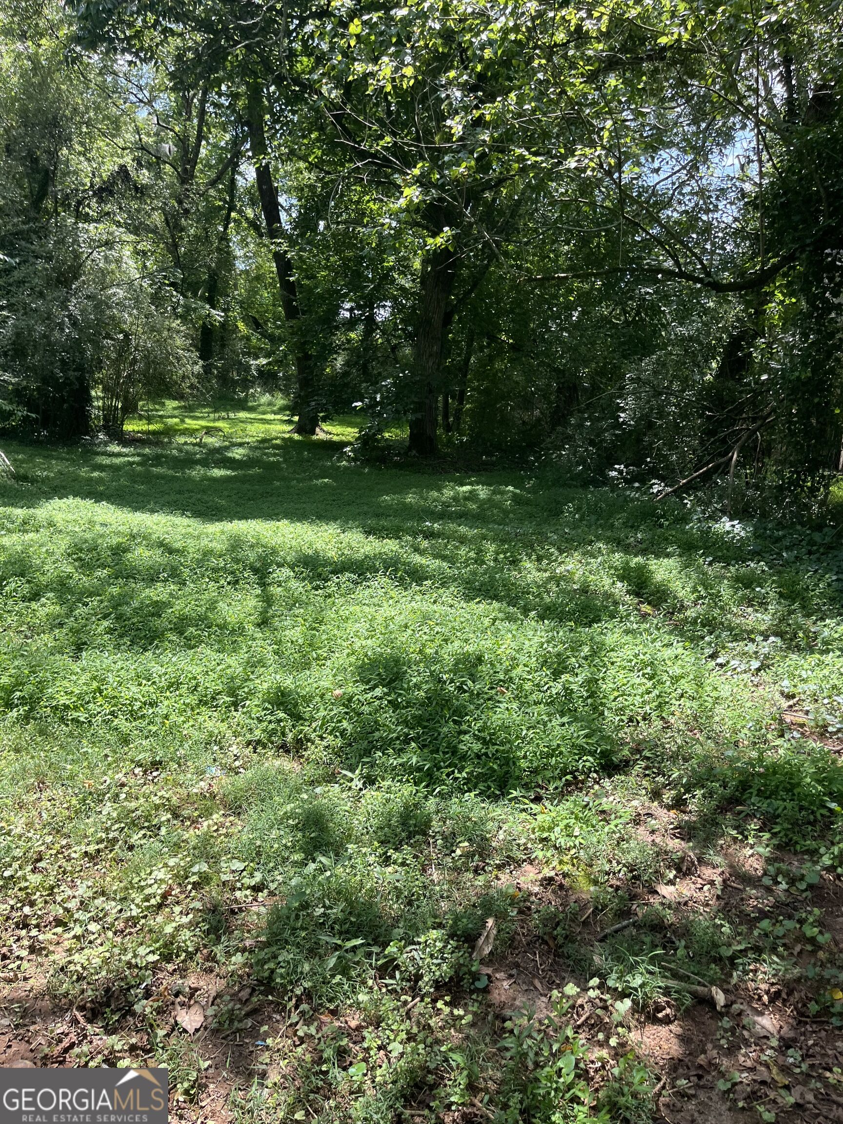 506 Grant Street Property Photo 5