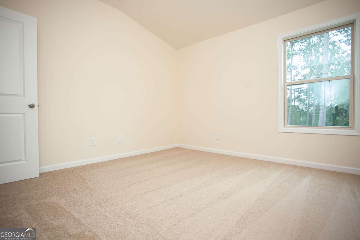 4505 Almanor Circle Property Photo 49