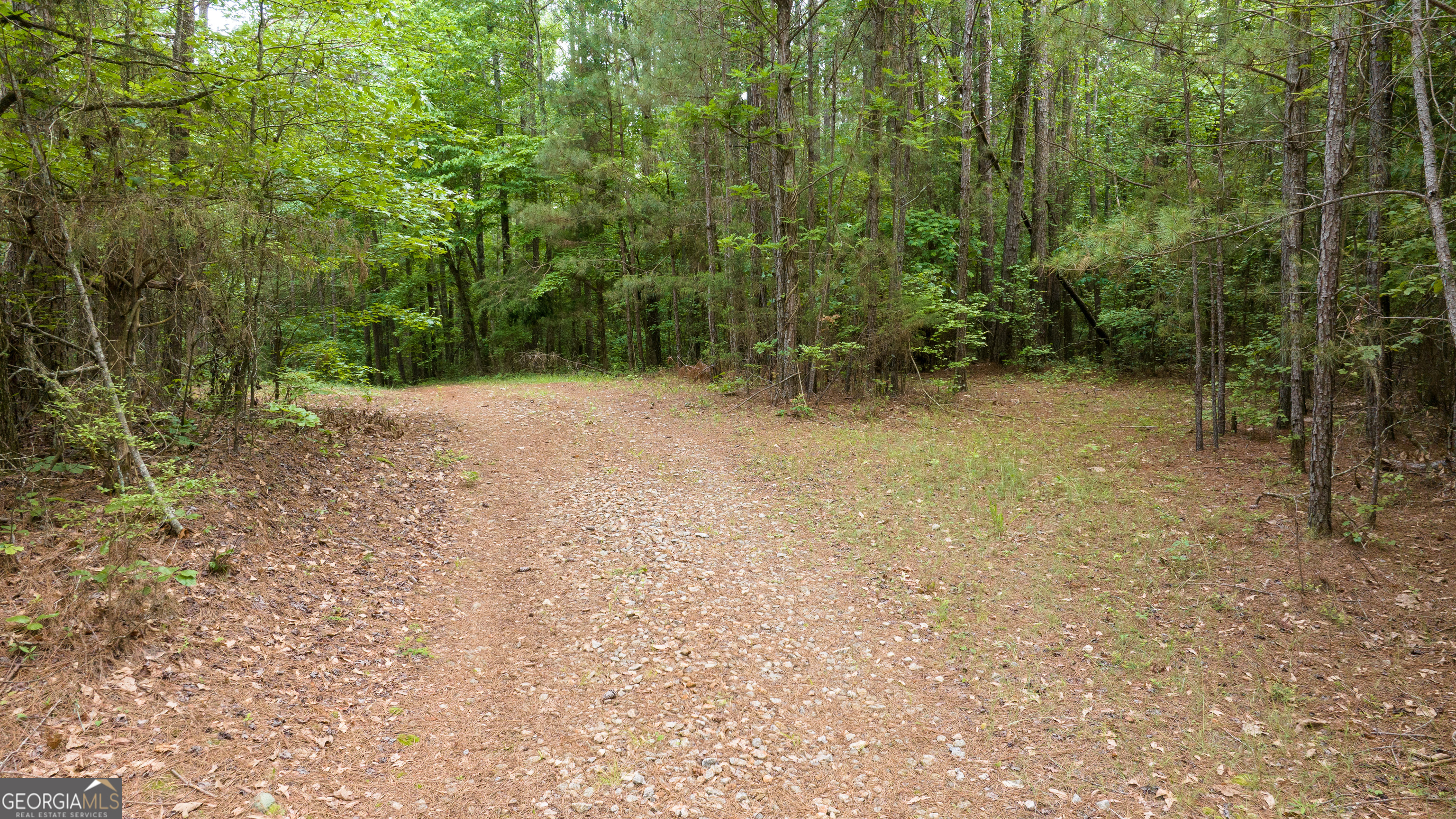 0 Nowhere Lane Property Photo 22