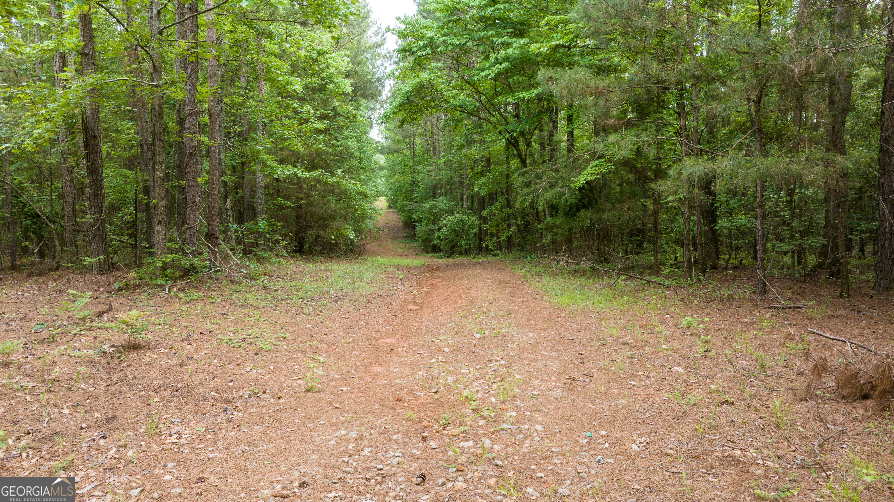 0 Nowhere Lane Property Photo 23