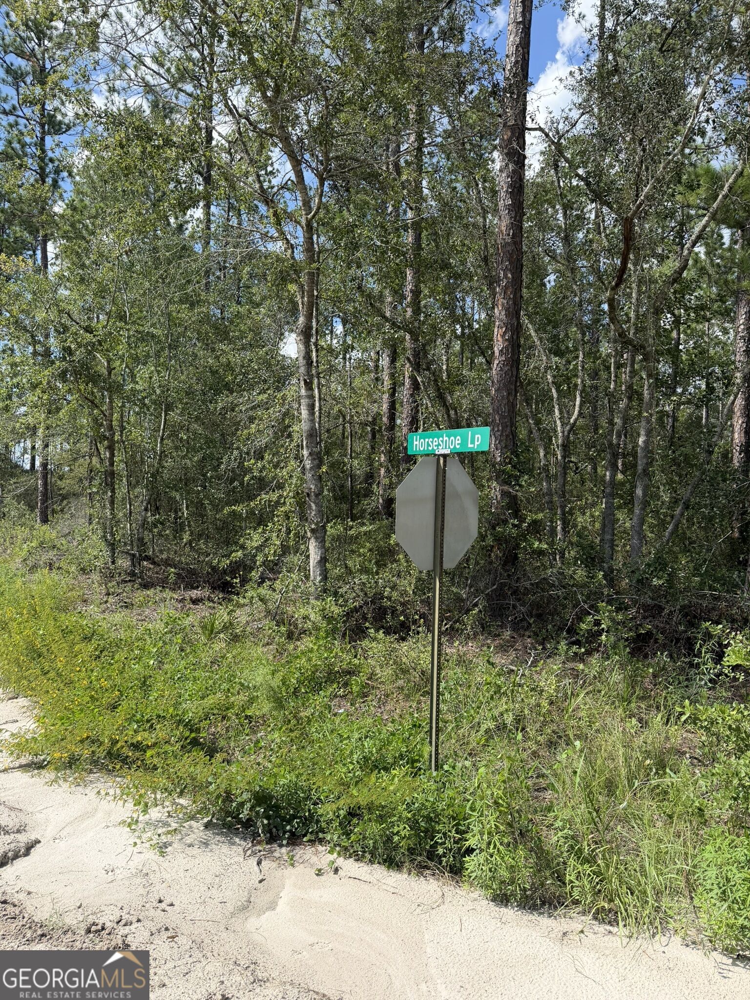 113 Horseshoe Loop Property Photo 23