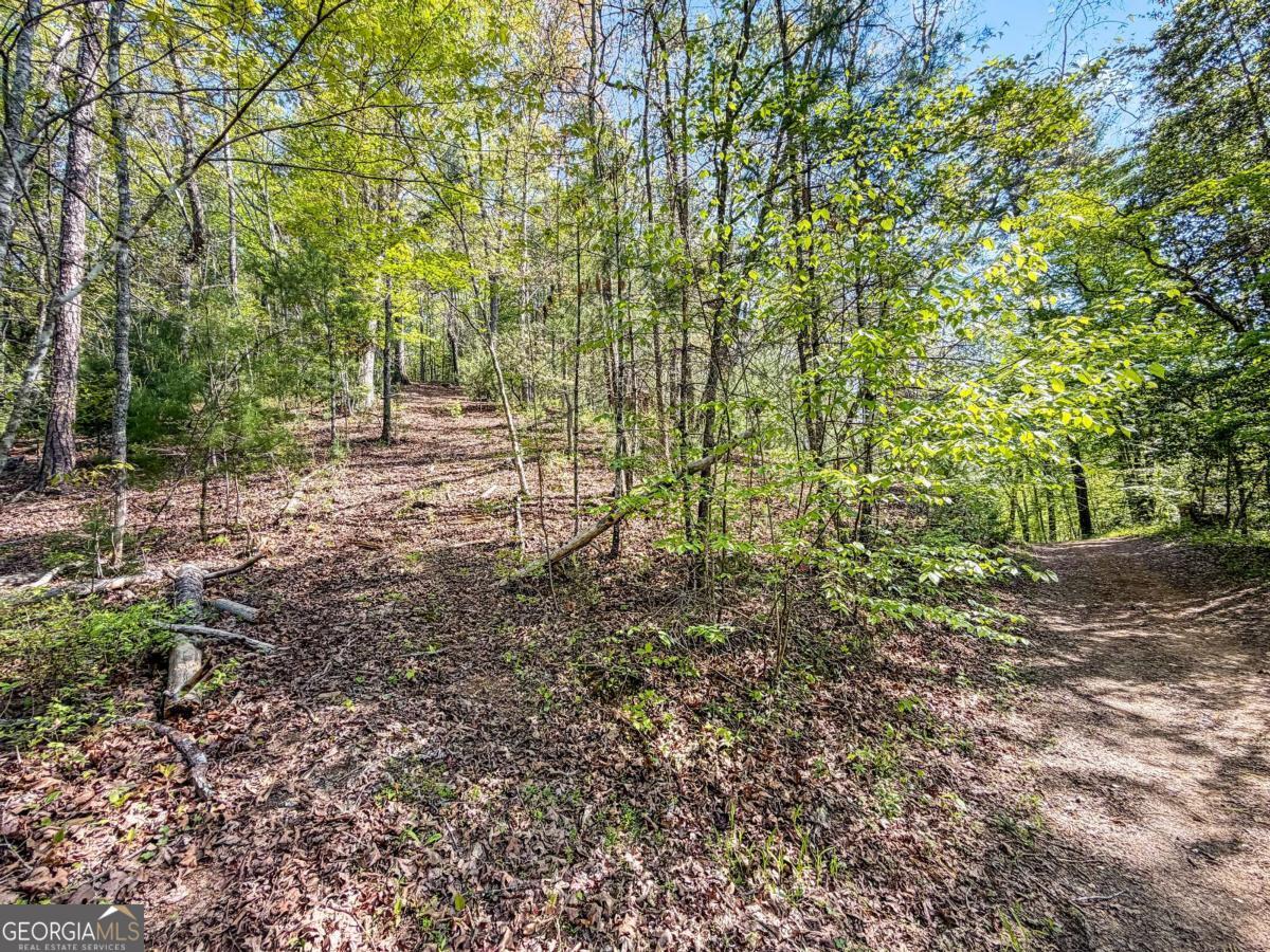 40 Ac #2 Valley Lake Road Property Photo 7