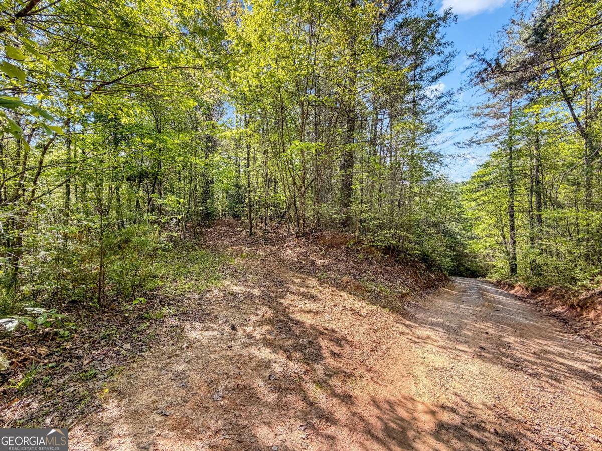 40 Ac #2 Valley Lake Road Property Photo 8